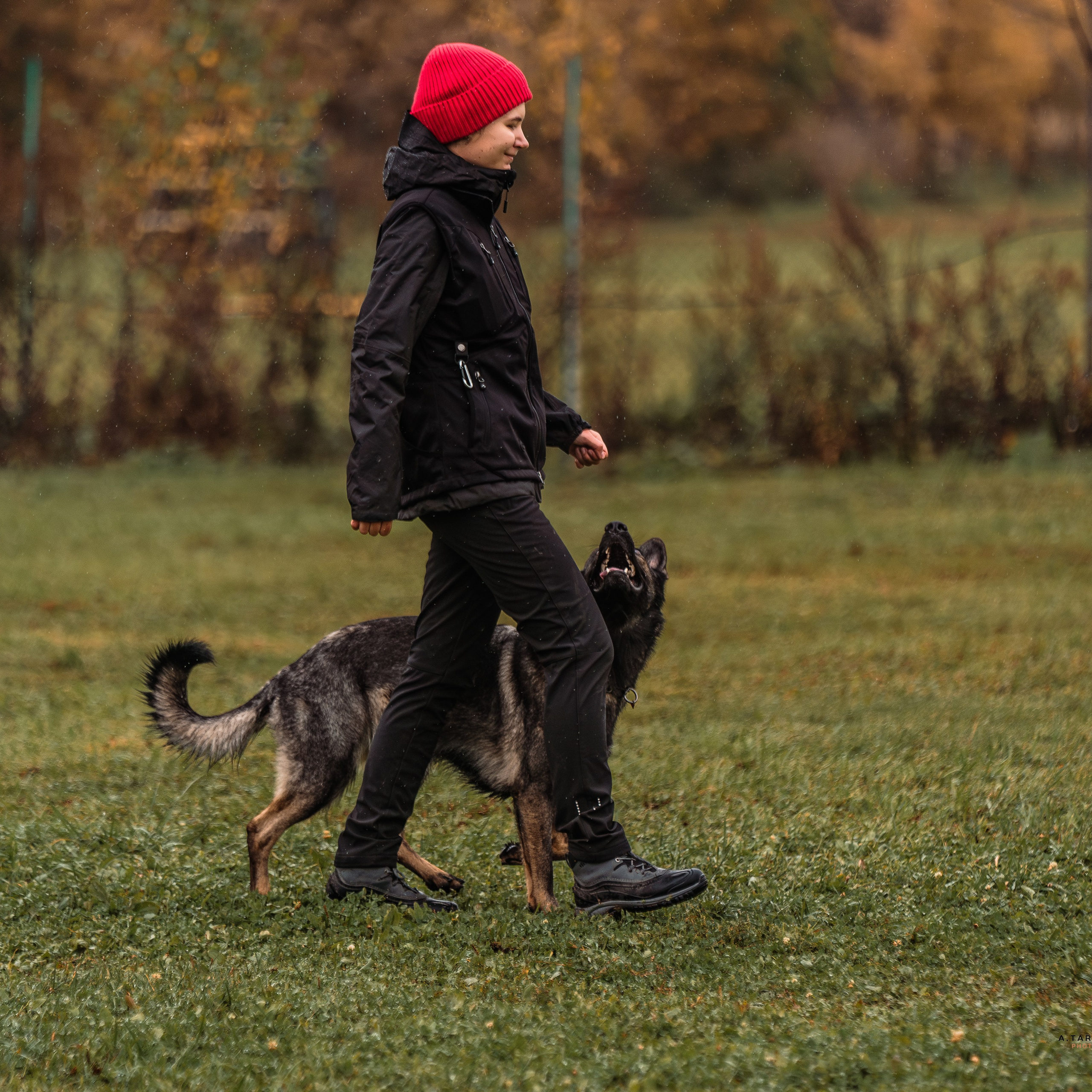 Отзывы. Фотограф-анималист, семейный фотограф в Москве и Подмосковье. Фотосъёмка кинологических дисциплин
