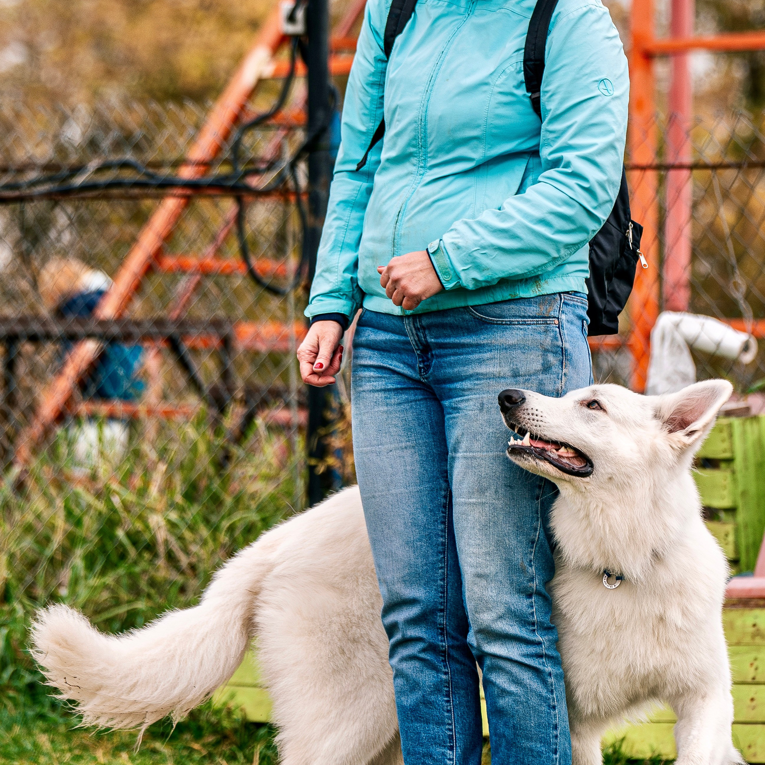 Отзывы. Фотограф-анималист, семейный фотограф в Москве и Подмосковье. Фотосъёмка кинологических дисциплин