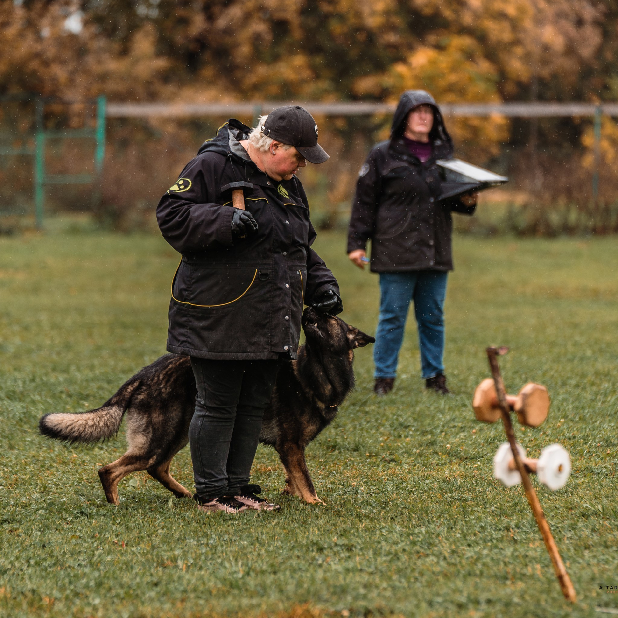 Отзывы. Фотограф-анималист, семейный фотограф в Москве и Подмосковье. Фотосъёмка кинологических дисциплин