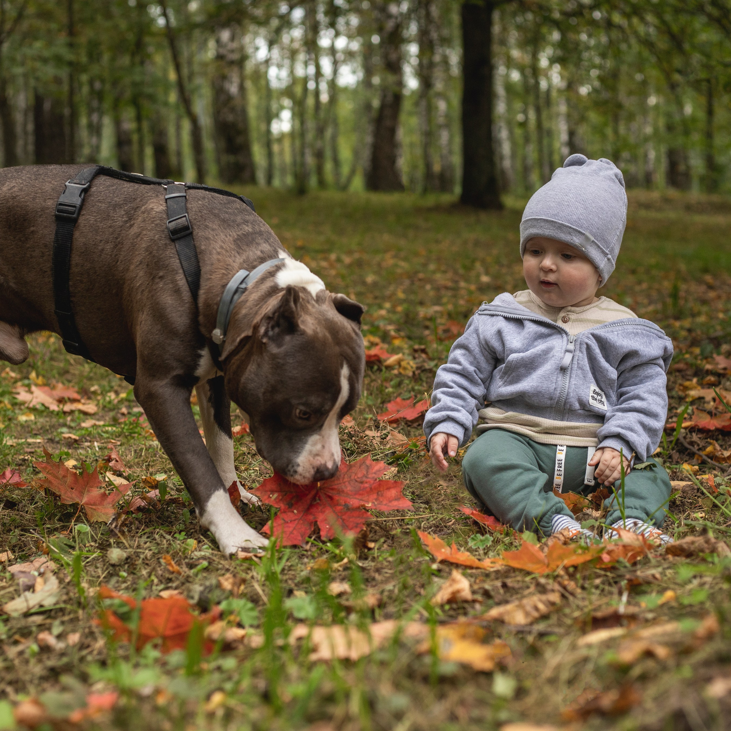Отзывы. Фотограф-анималист Анна Леонтьева — Тула, Москва