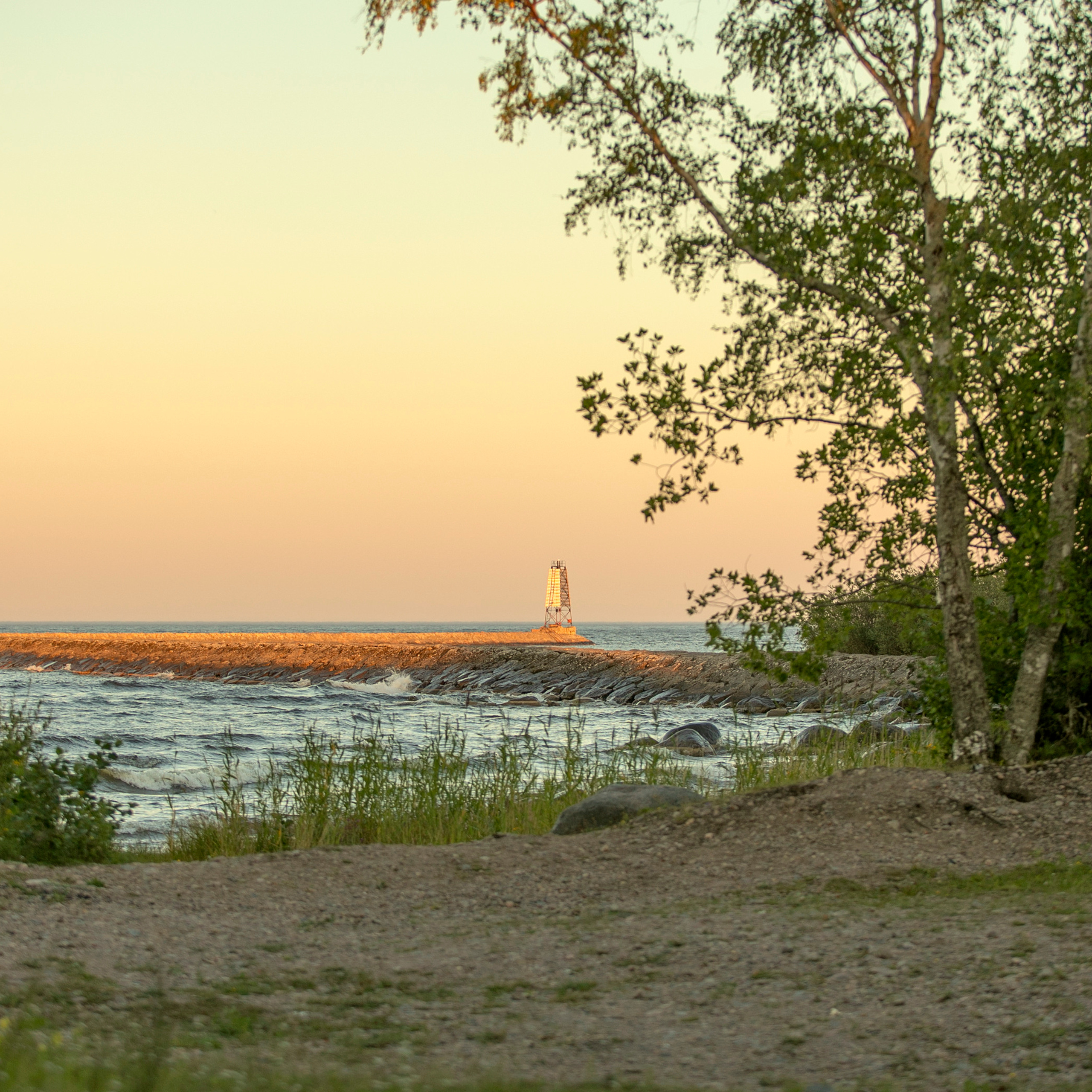 Отзывы. ДЕТСКИЙ И СЕМЕЙНЫЙ ФОТОГРАФ в Сосново, Ленинградской области и Спб