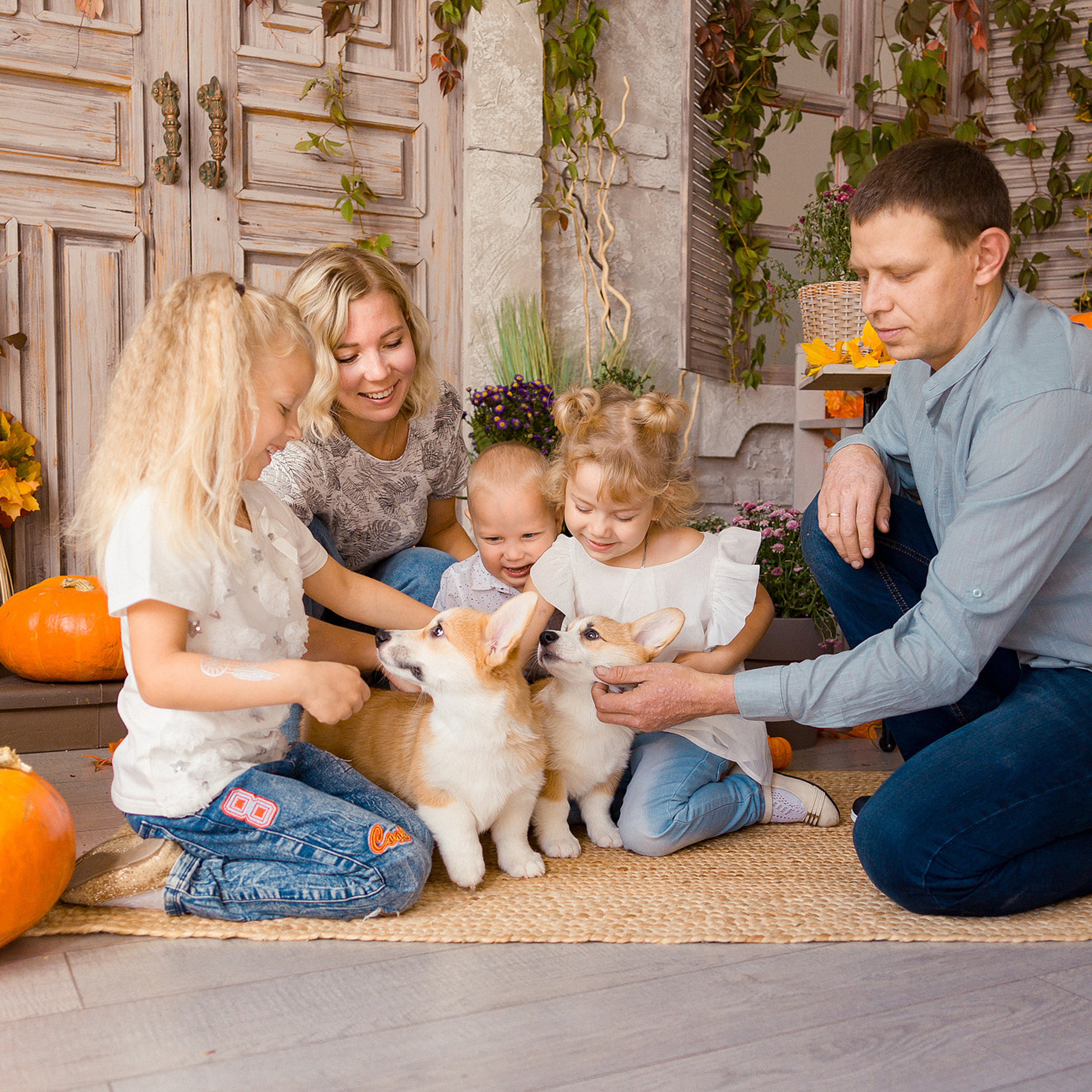 Съемка с корги