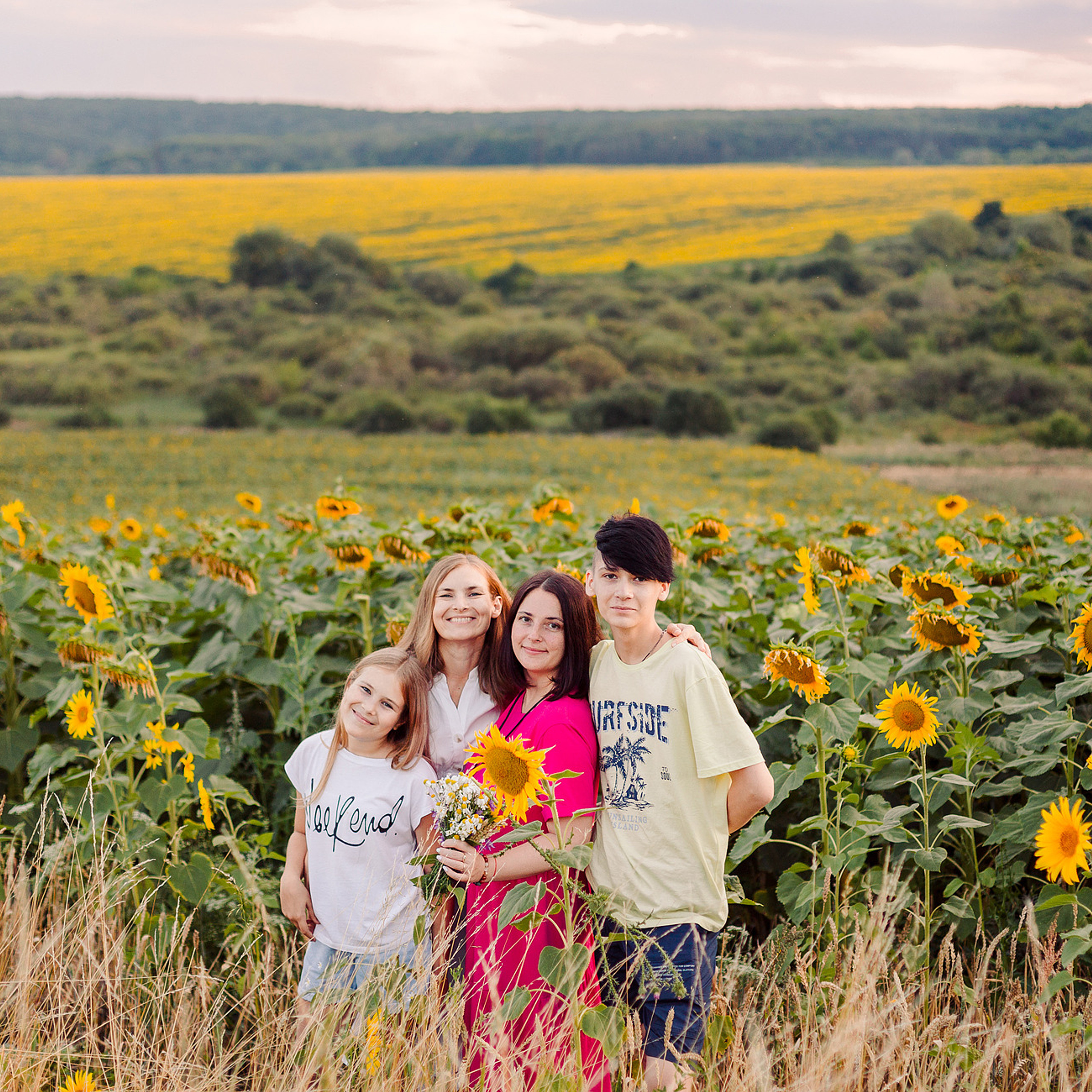 Встреча друзей