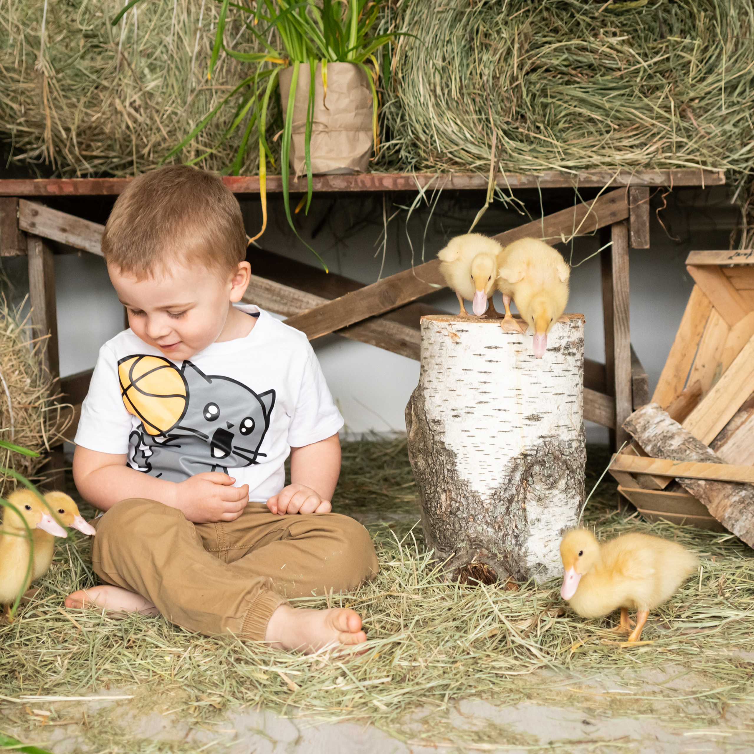 Отзывы. Семейный и детский фотограф в Москве Евгения Миронова