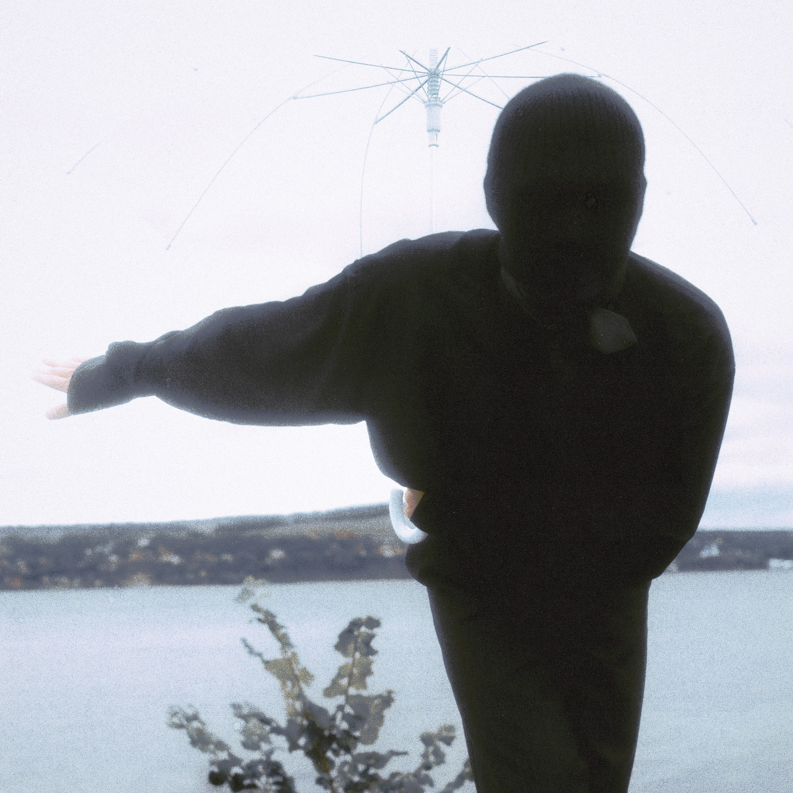 любовь к ботанике