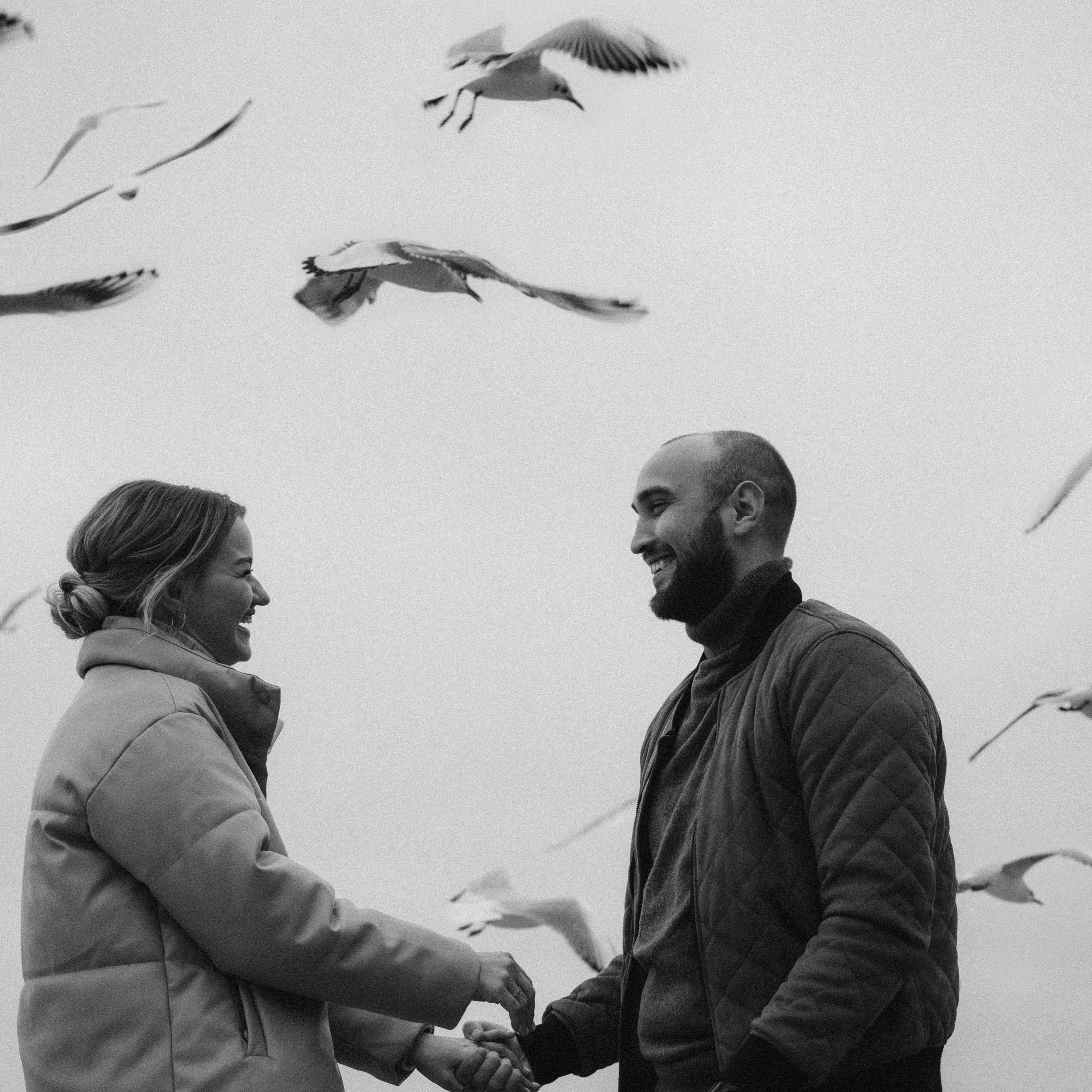 Чайки любят курочку