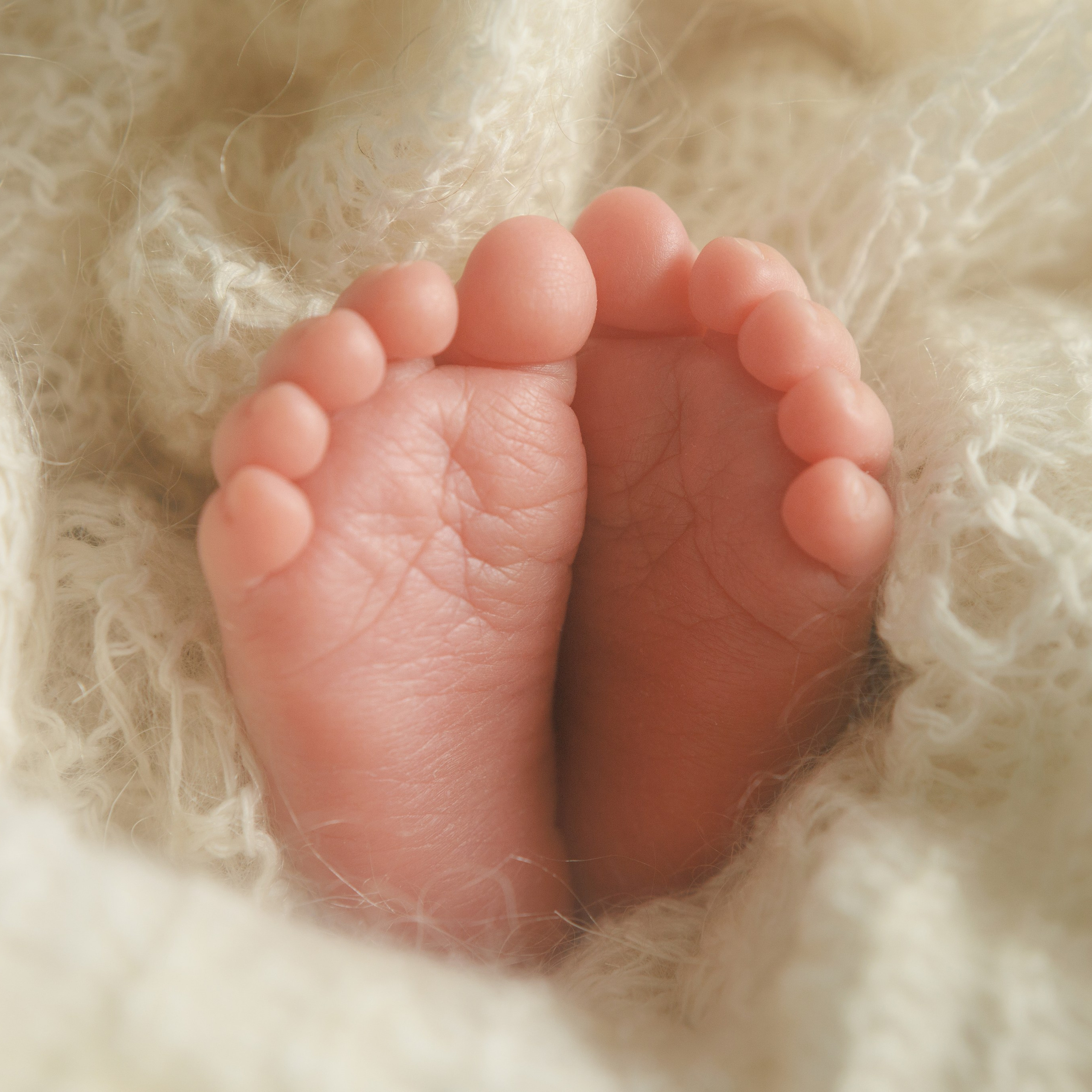 Макроснимки