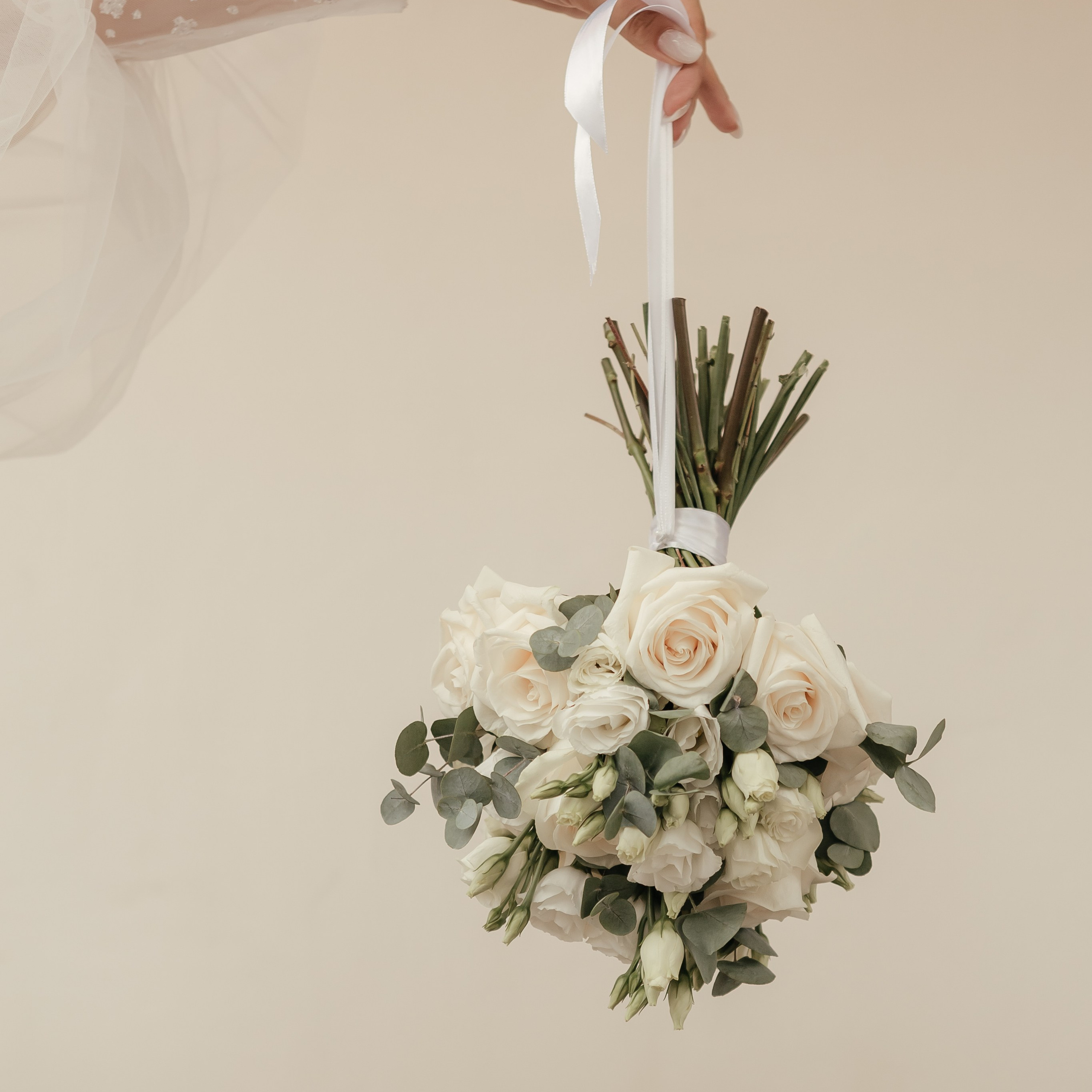 Ангелина & Антон