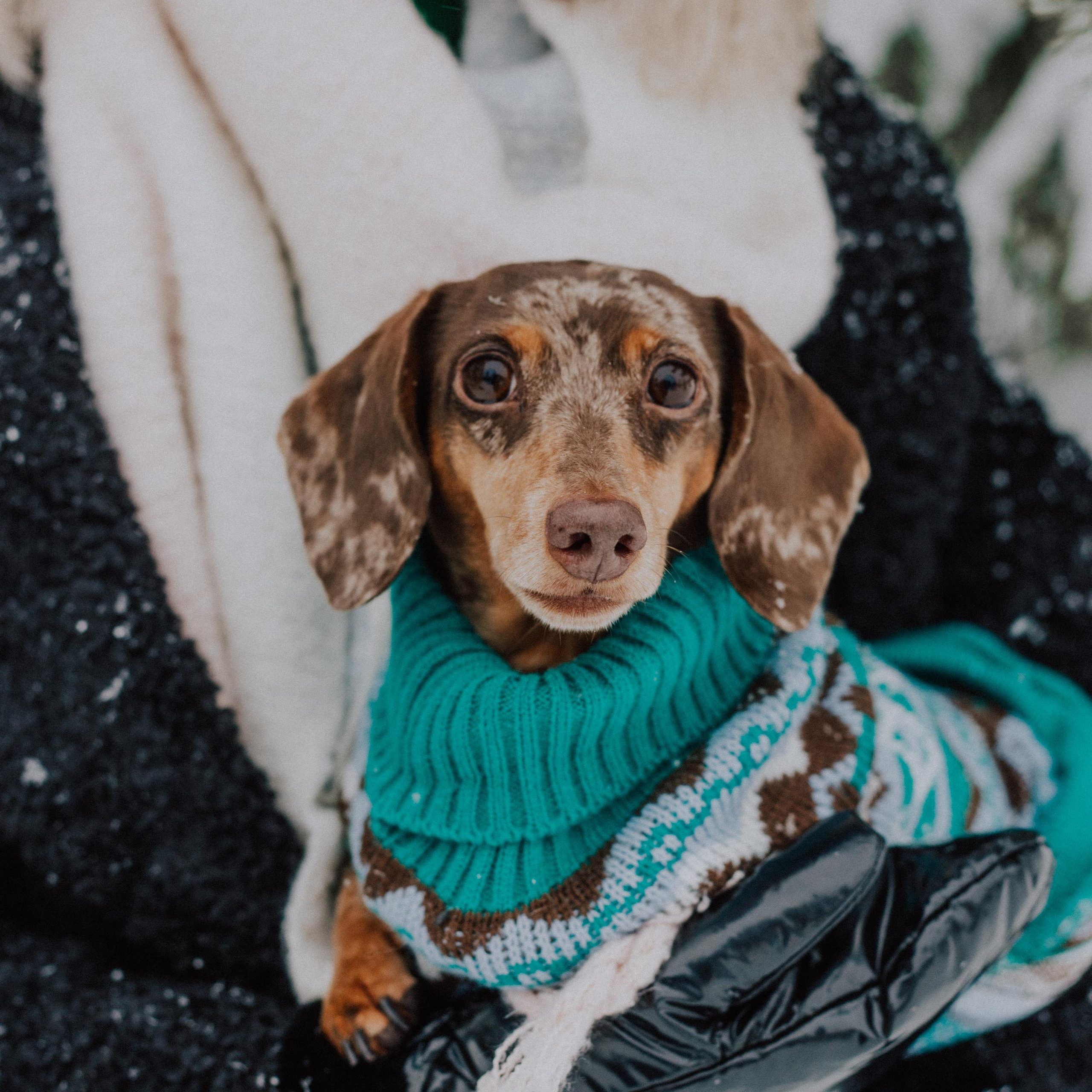 Отзывы. Фотограф Москва / Балашиха