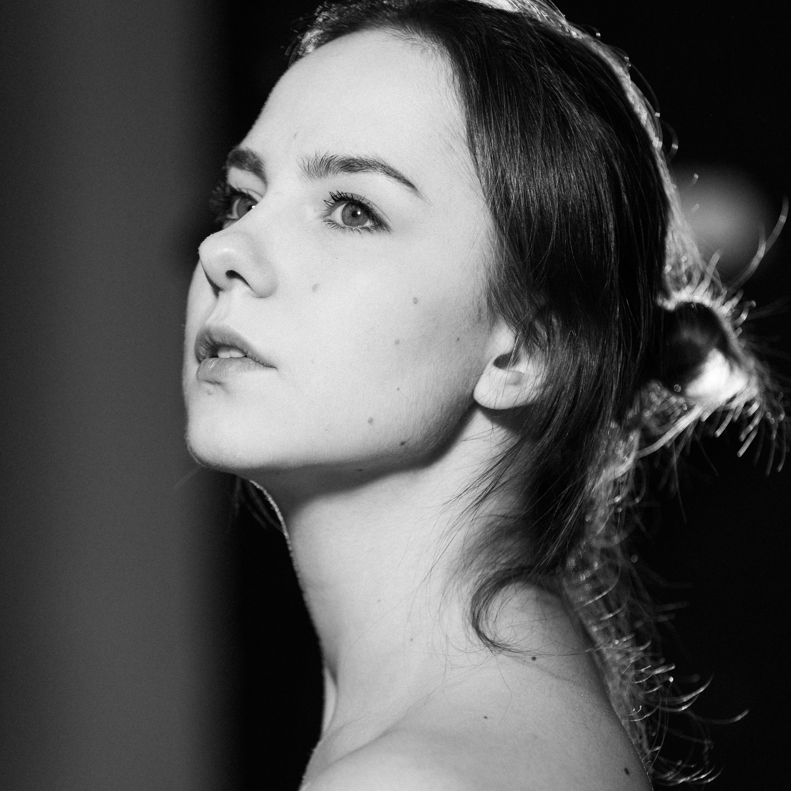 Лена. Студия