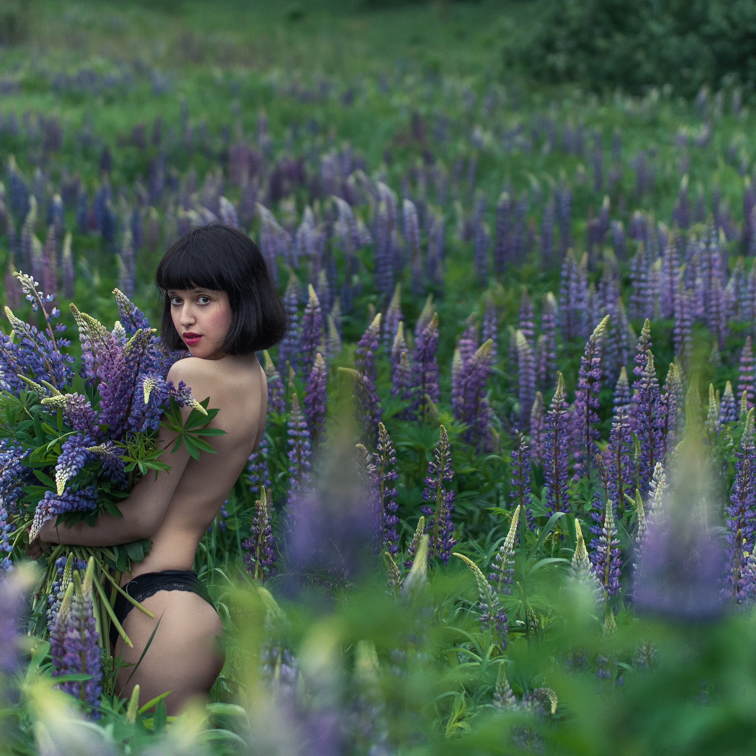 В люпиновом поле