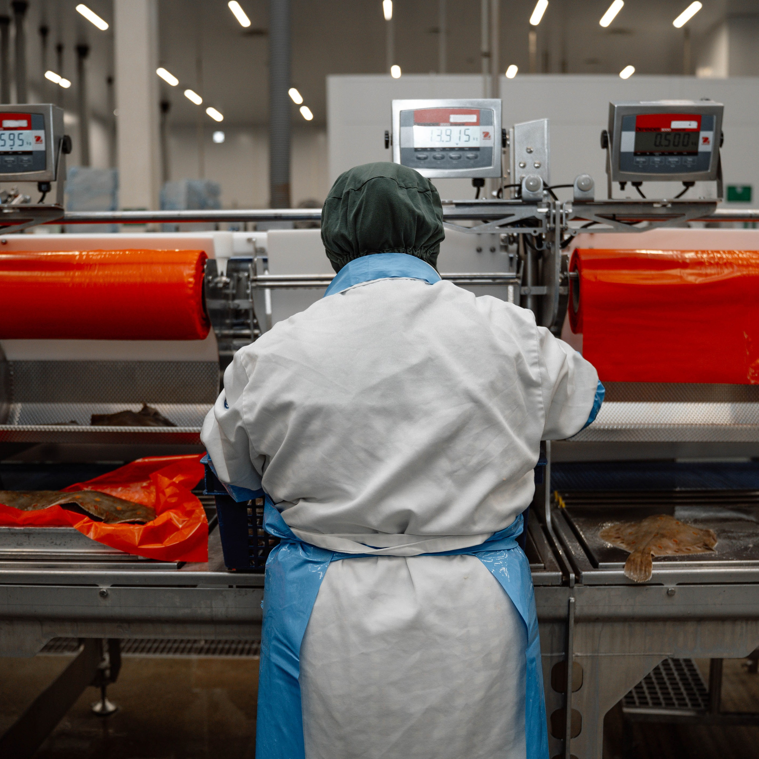 «Росмолодеж» экскурсия