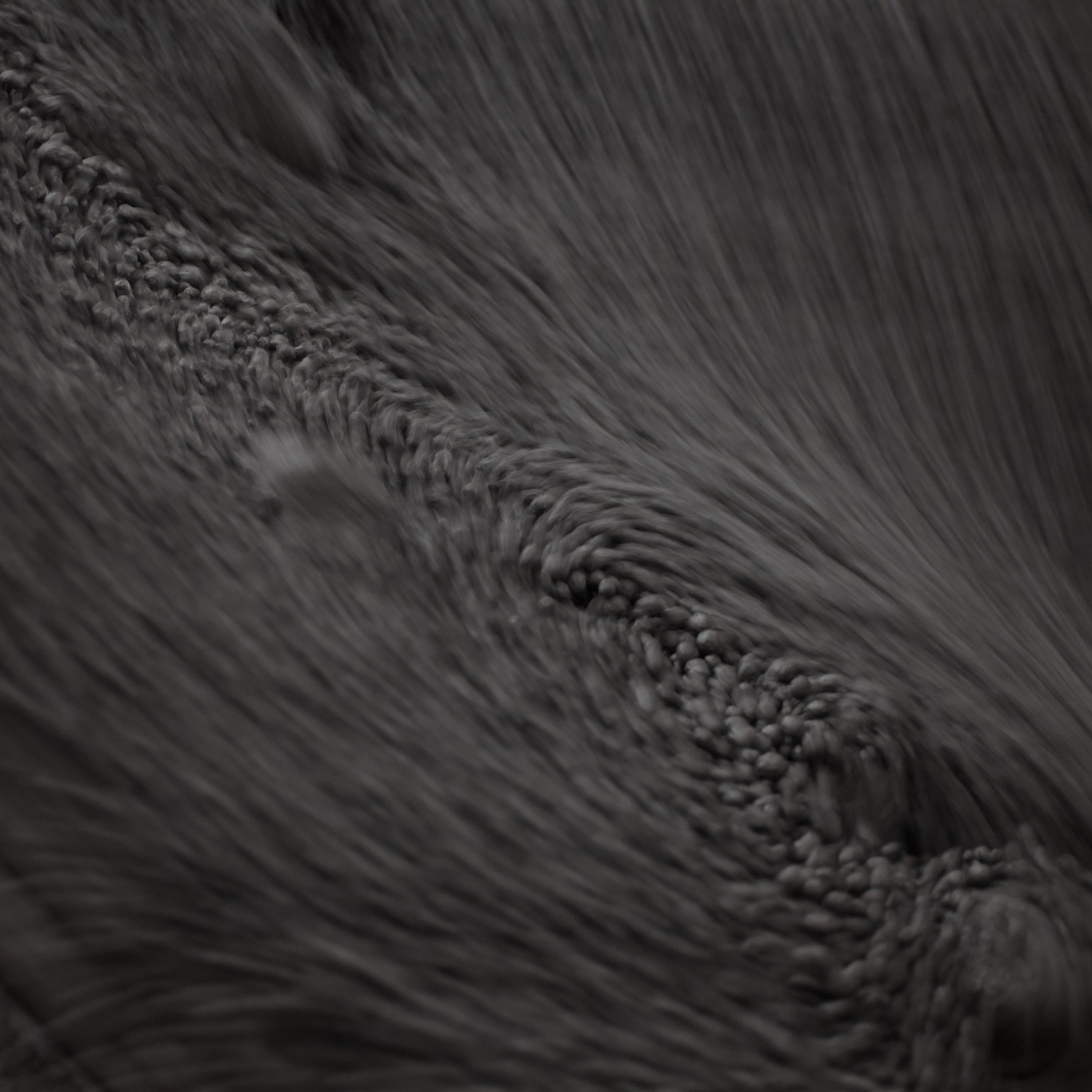 МФЭС-2025 в Москве. Промышленный фотограф, фоторепортаж, Россия