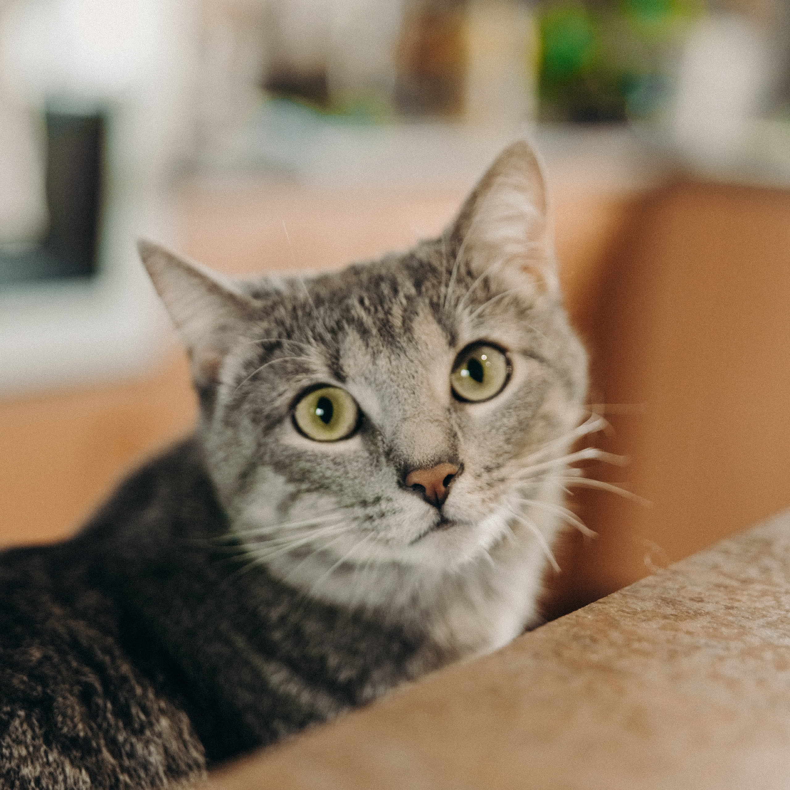 Алеся, Антон и Стёпа. Фотограф Надежда Московская