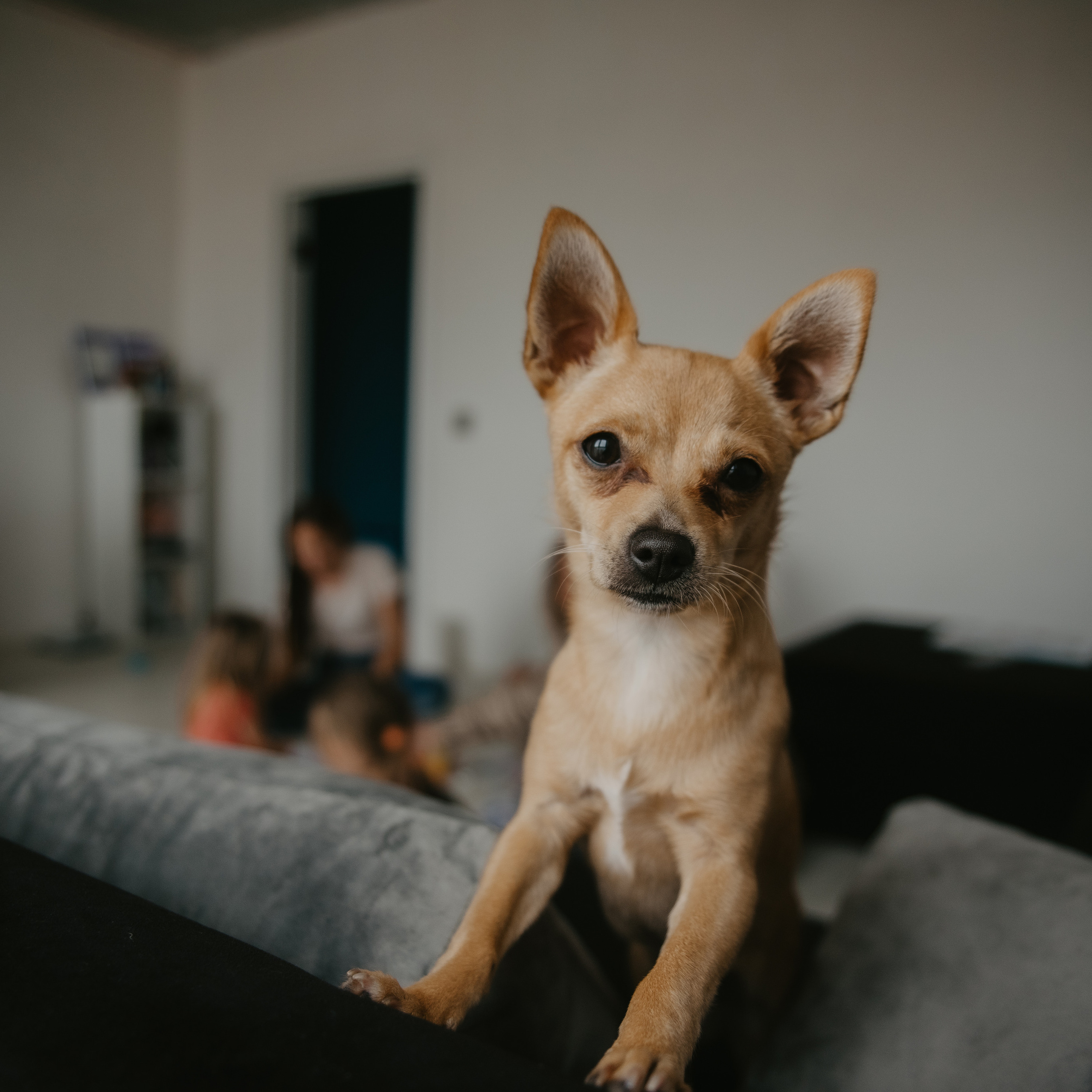 Рисуем дома. Фотограф Надежда Московская