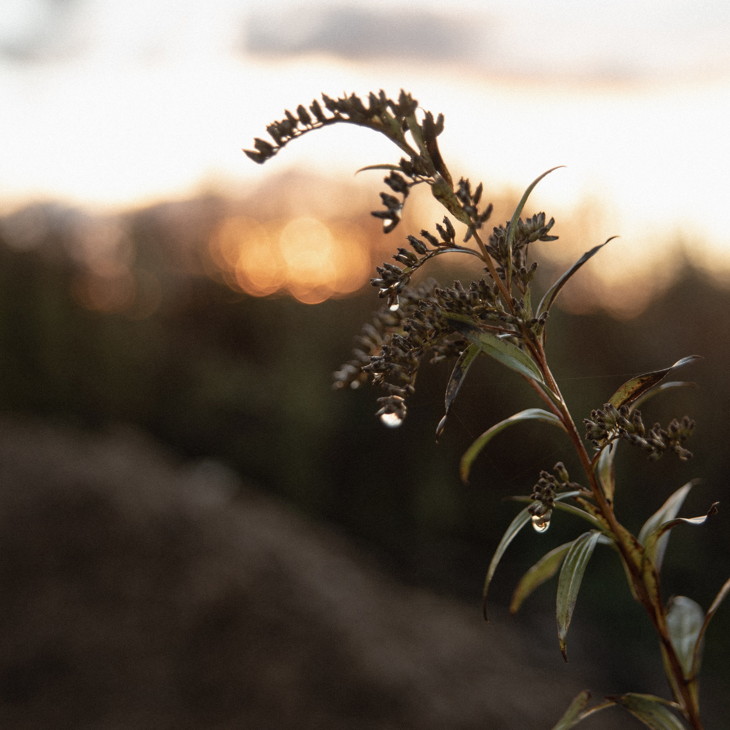 Проект «Дыхание рассвета» — Ира. Фотограф Надежда Московская