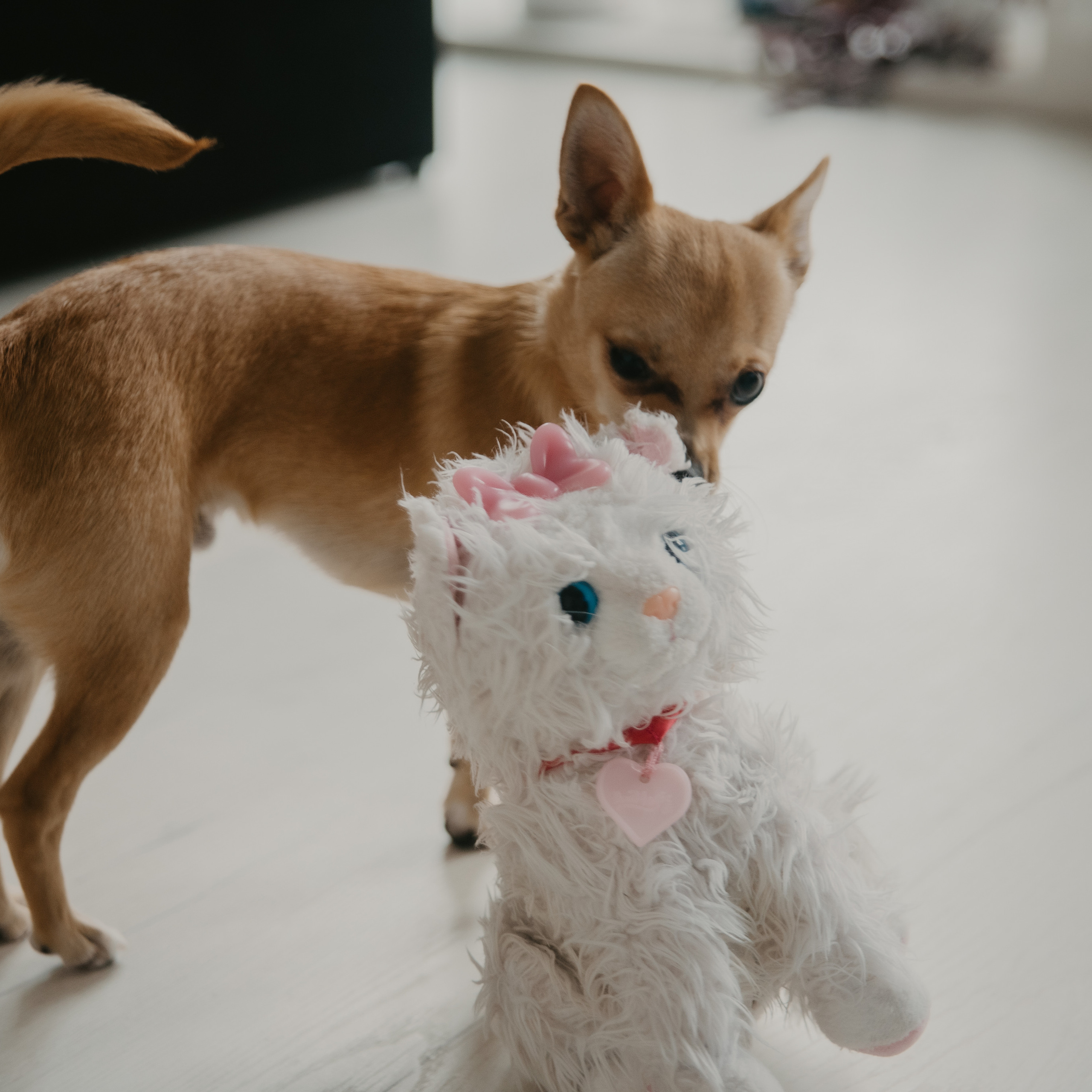 Рисуем дома. Фотограф Надежда Московская