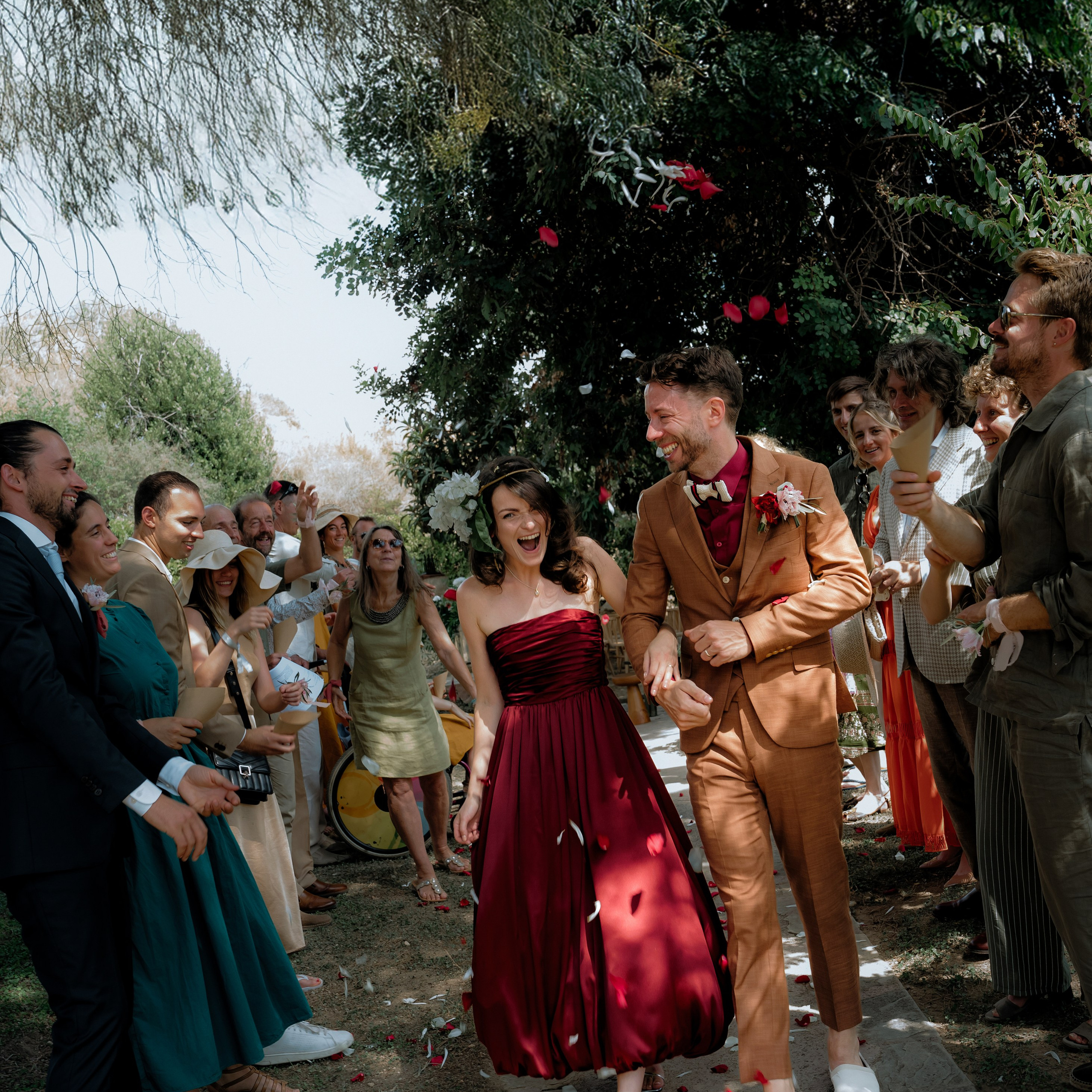 Where tulips meet birch trees