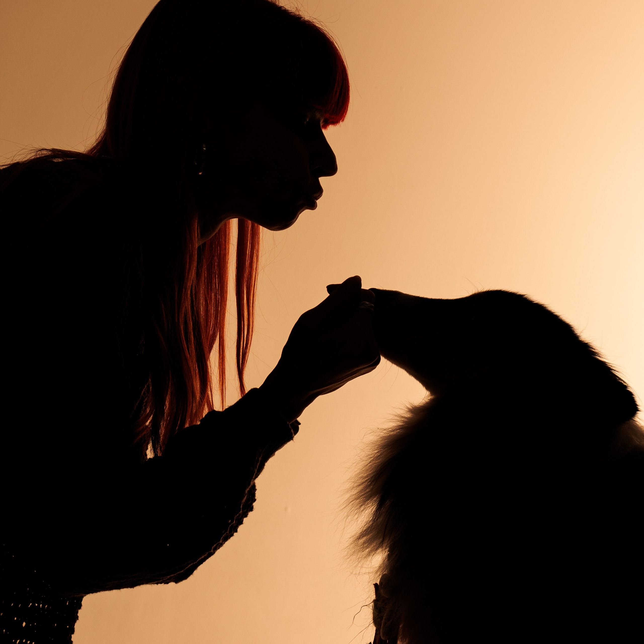 Воркшоп по импульсному свету