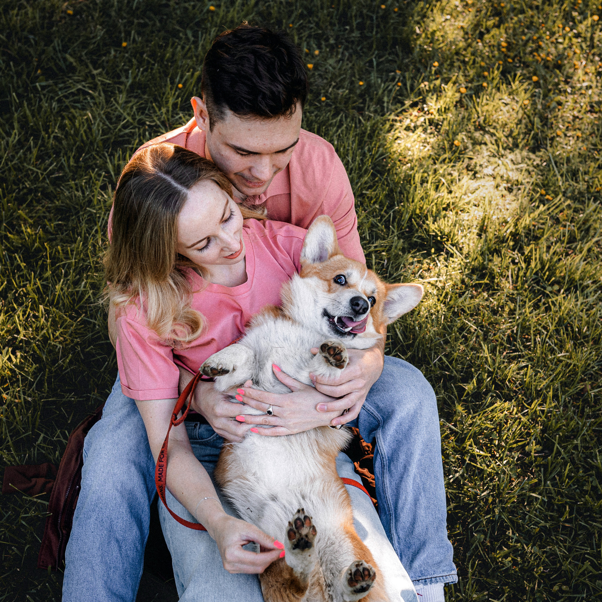 Отзывы о работе фотографа-анималиста или зоофотографа, Москва