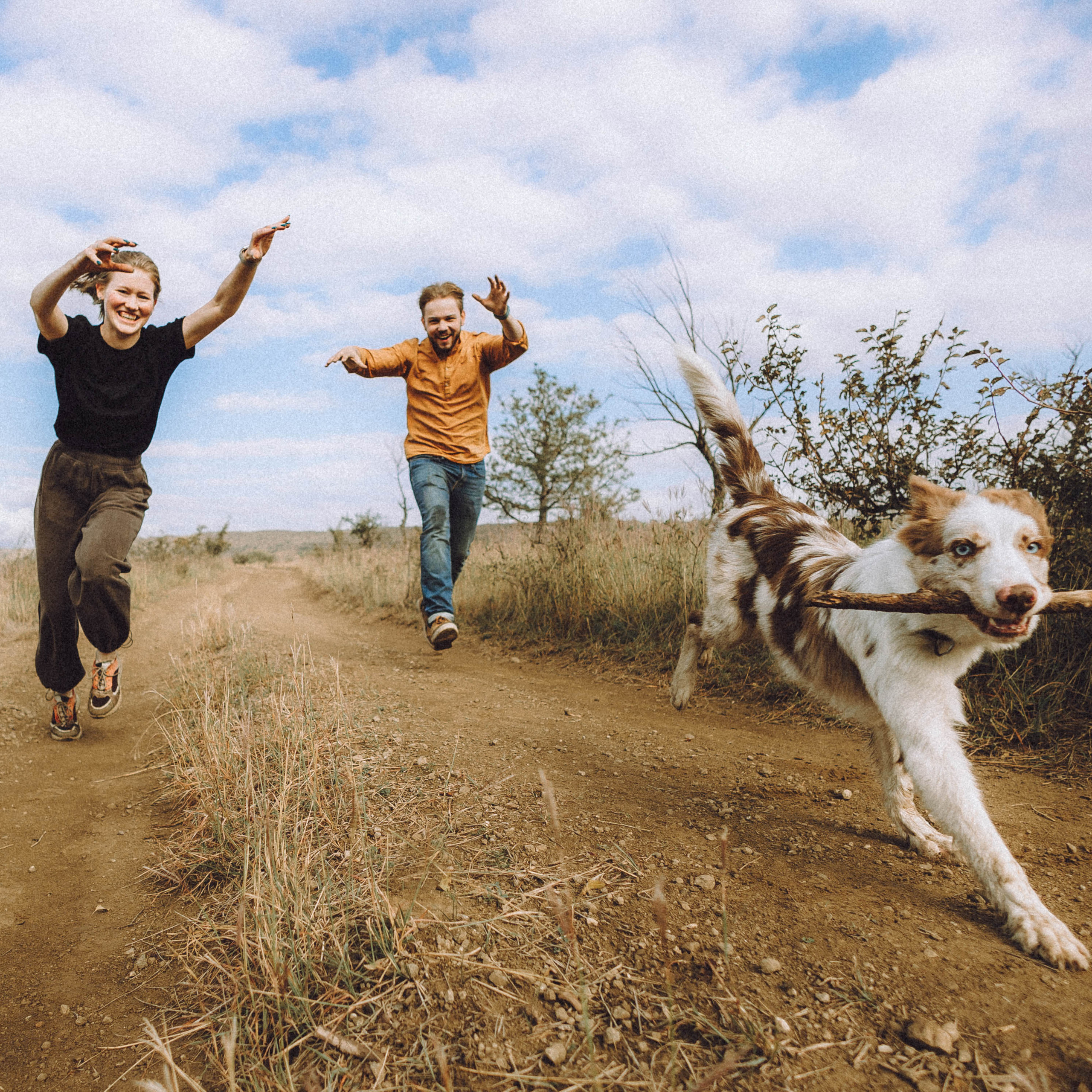 Отзывы о работе фотографа-анималиста или зоофотографа, Москва