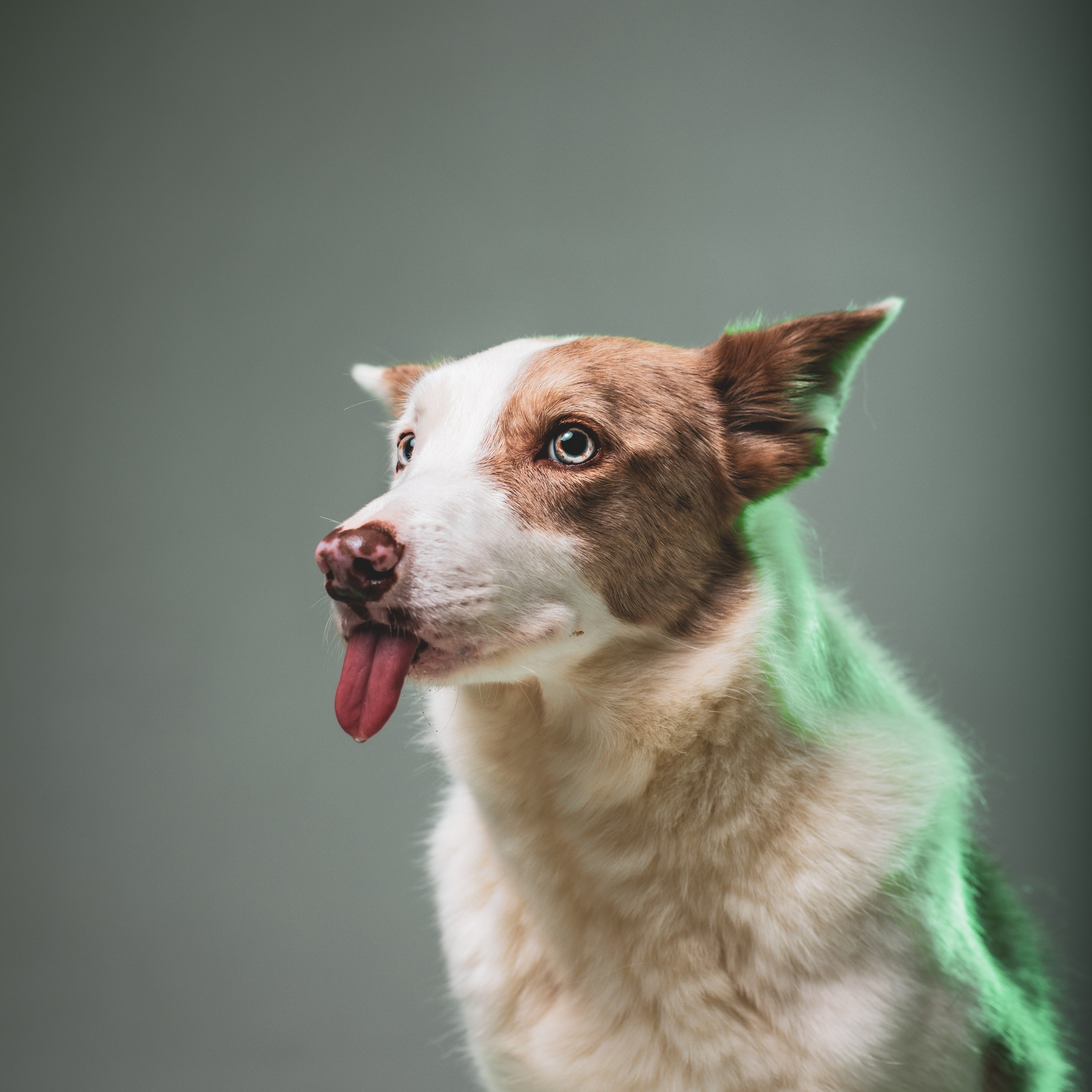 Воркшоп по импульсному свету