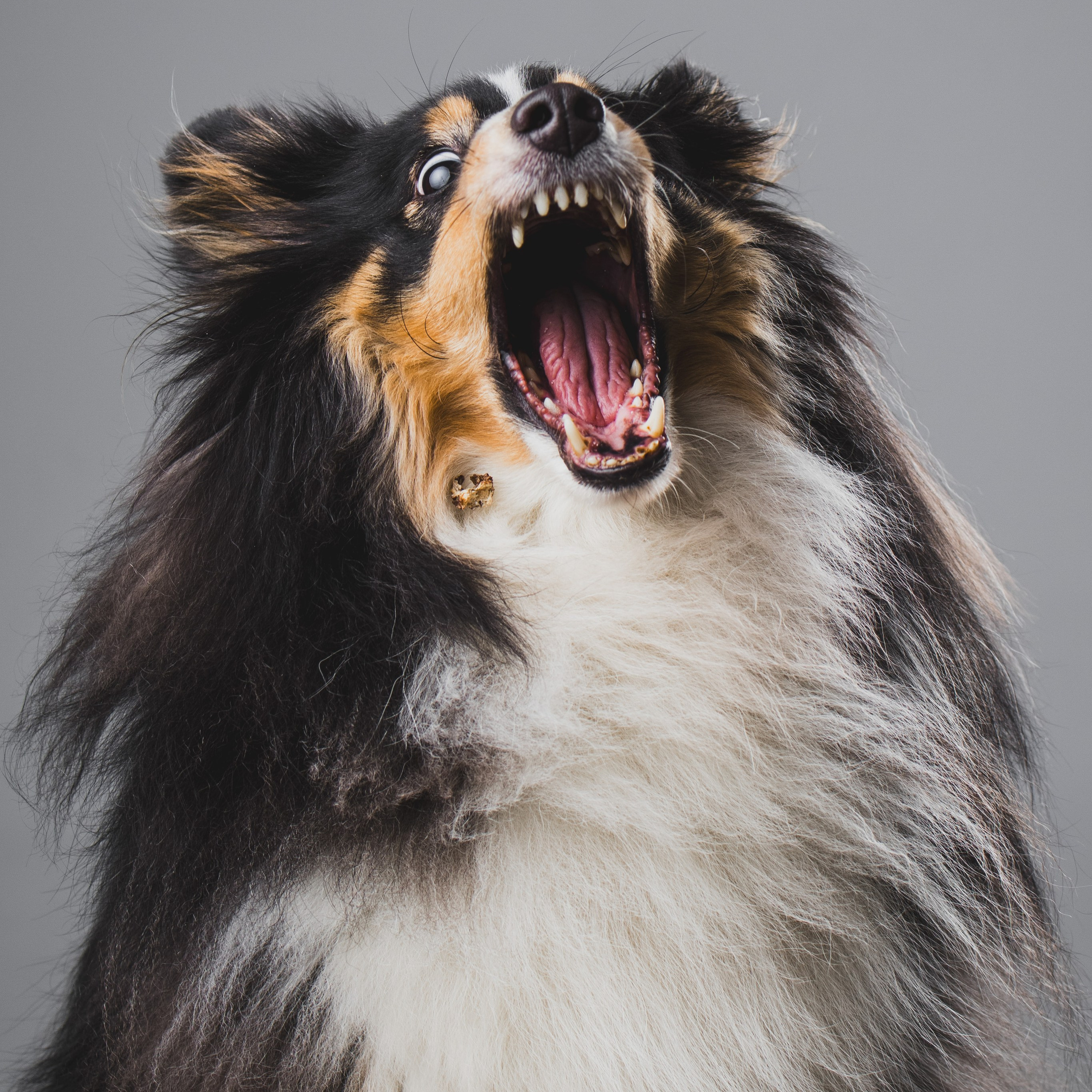 Воркшоп по импульсному свету