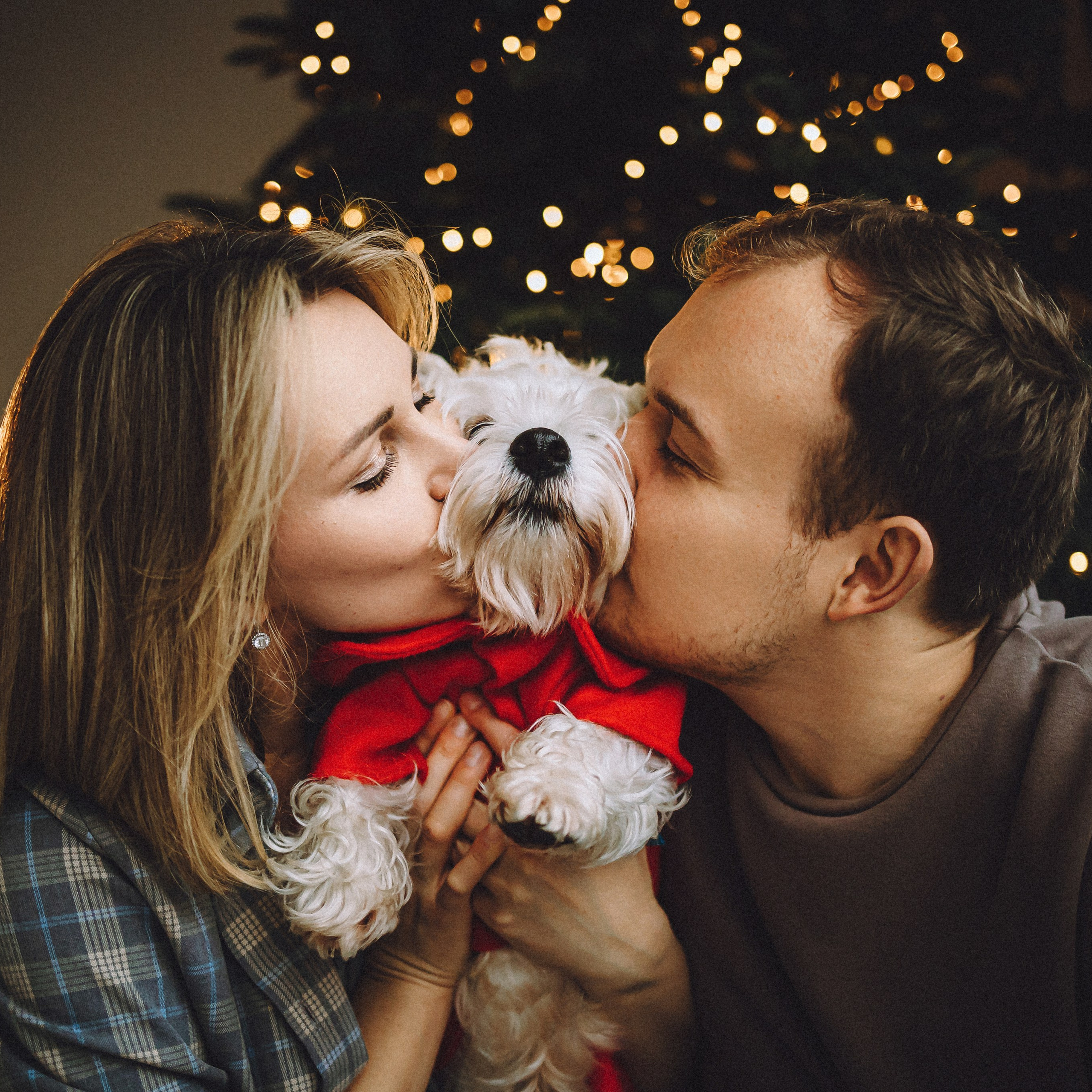 Отзывы о работе фотографа-анималиста или зоофотографа, Москва