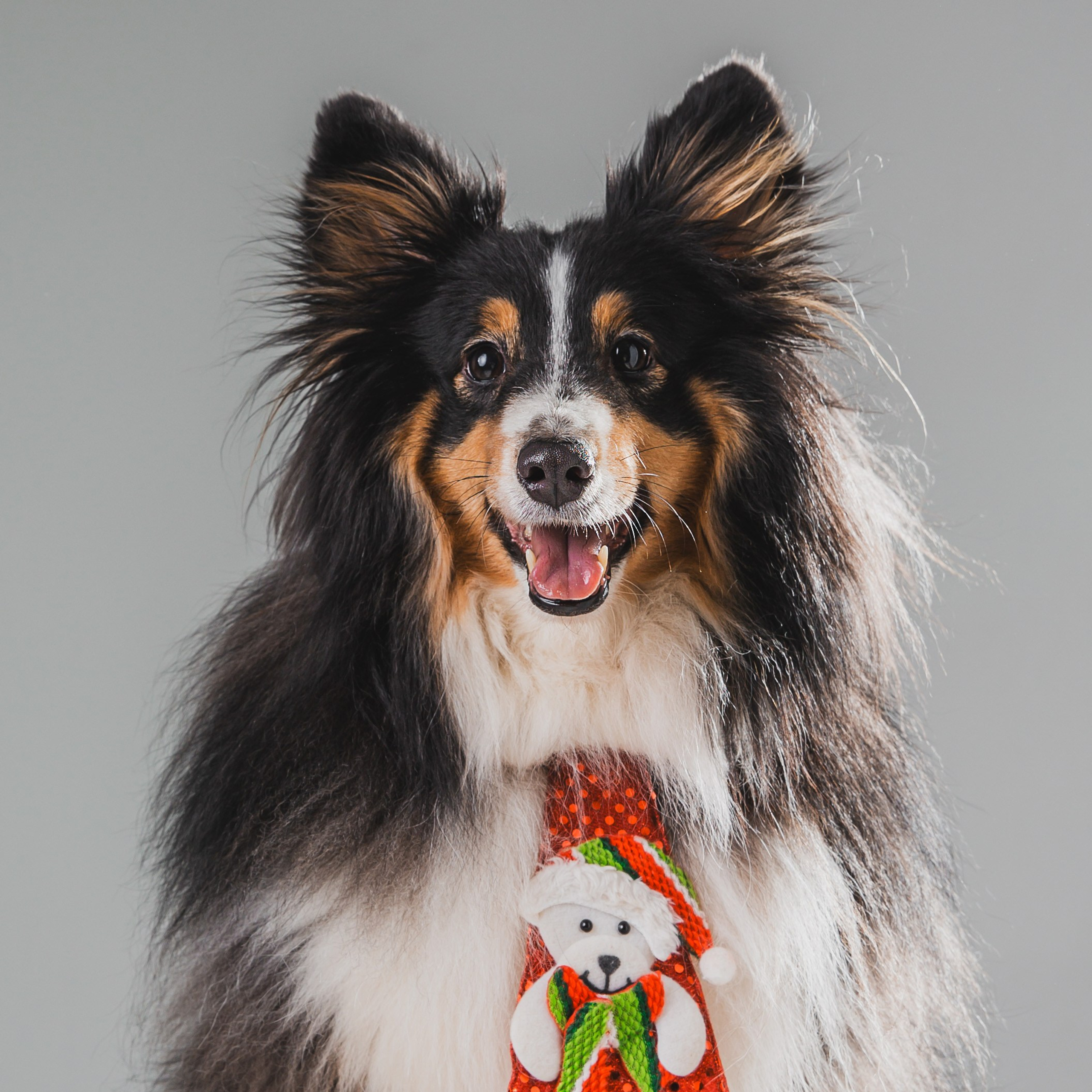 Воркшоп по импульсному свету