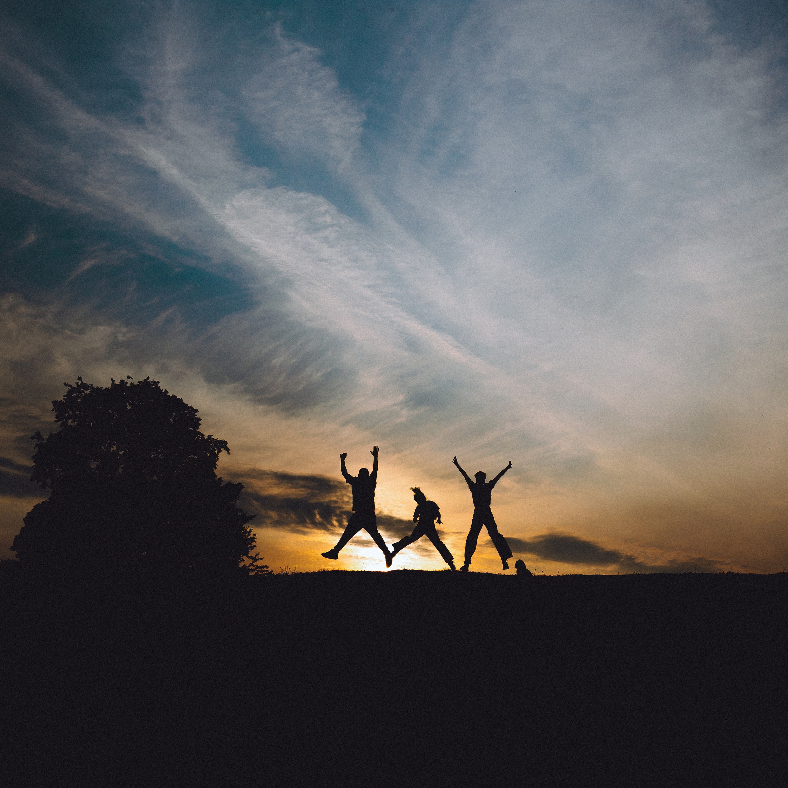 Отзывы о работе фотографа-анималиста или зоофотографа, Москва