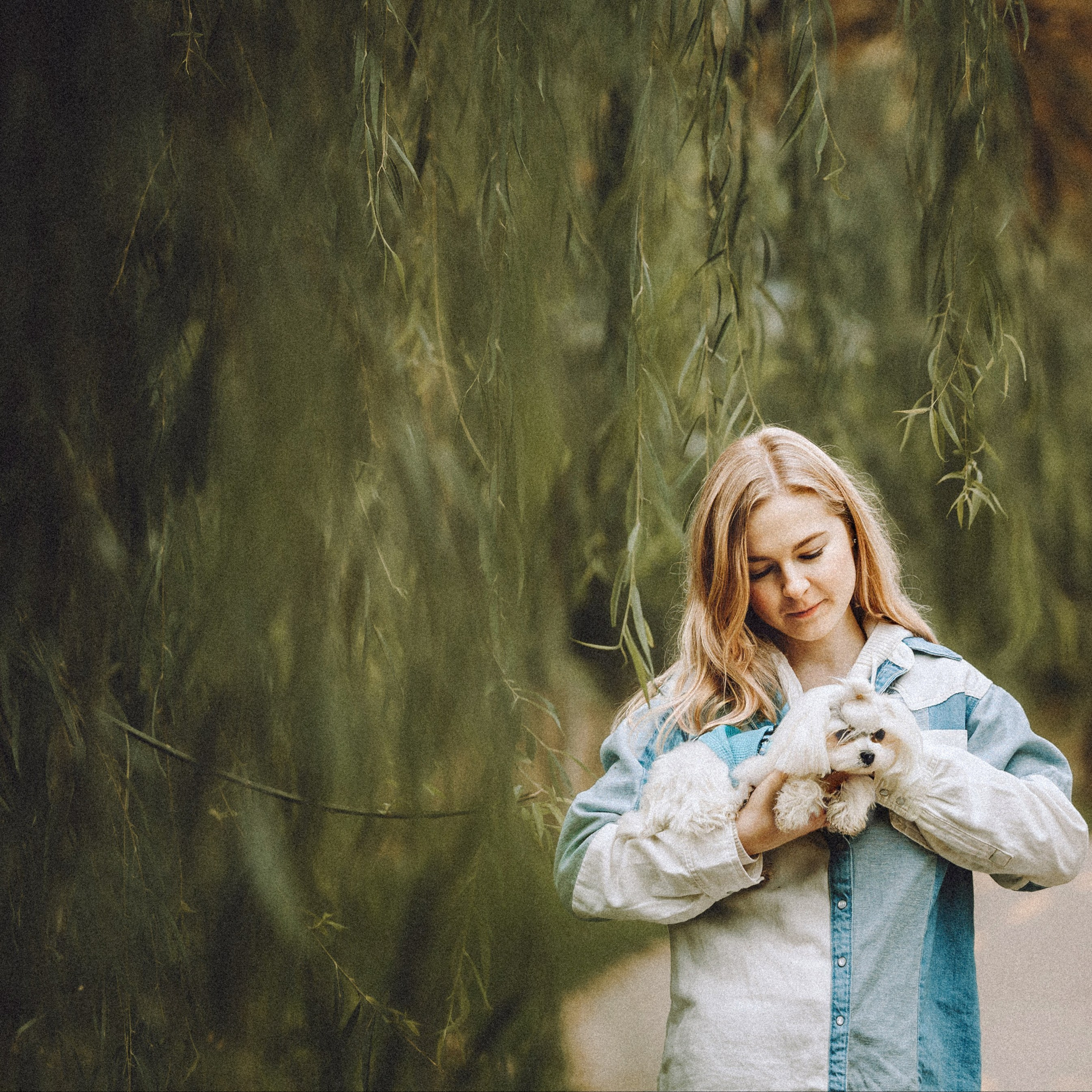 Отзывы о работе фотографа-анималиста или зоофотографа, Москва