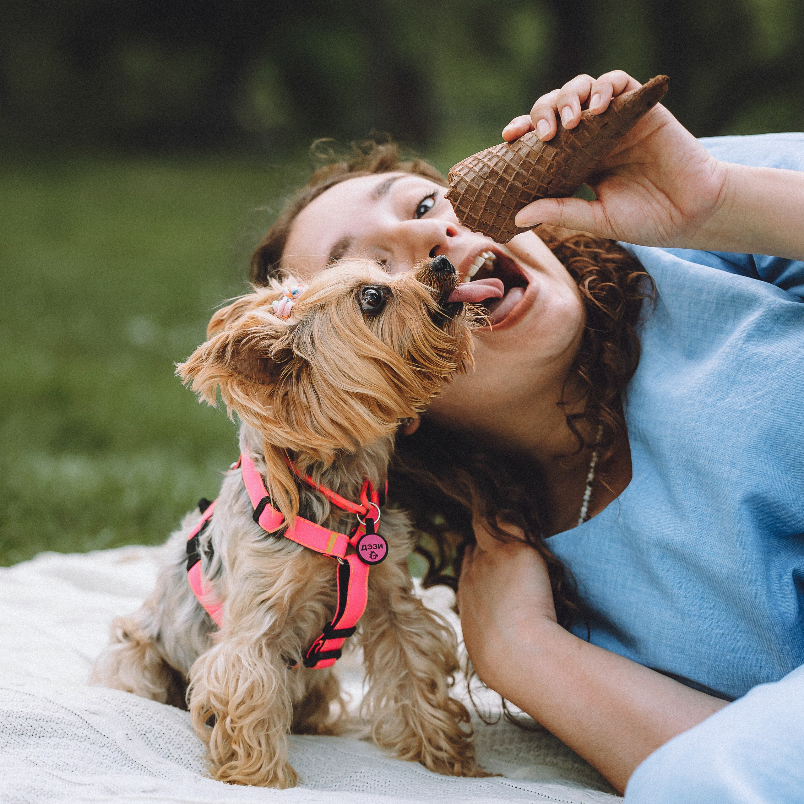 Отзывы о работе фотографа-анималиста или зоофотографа, Москва