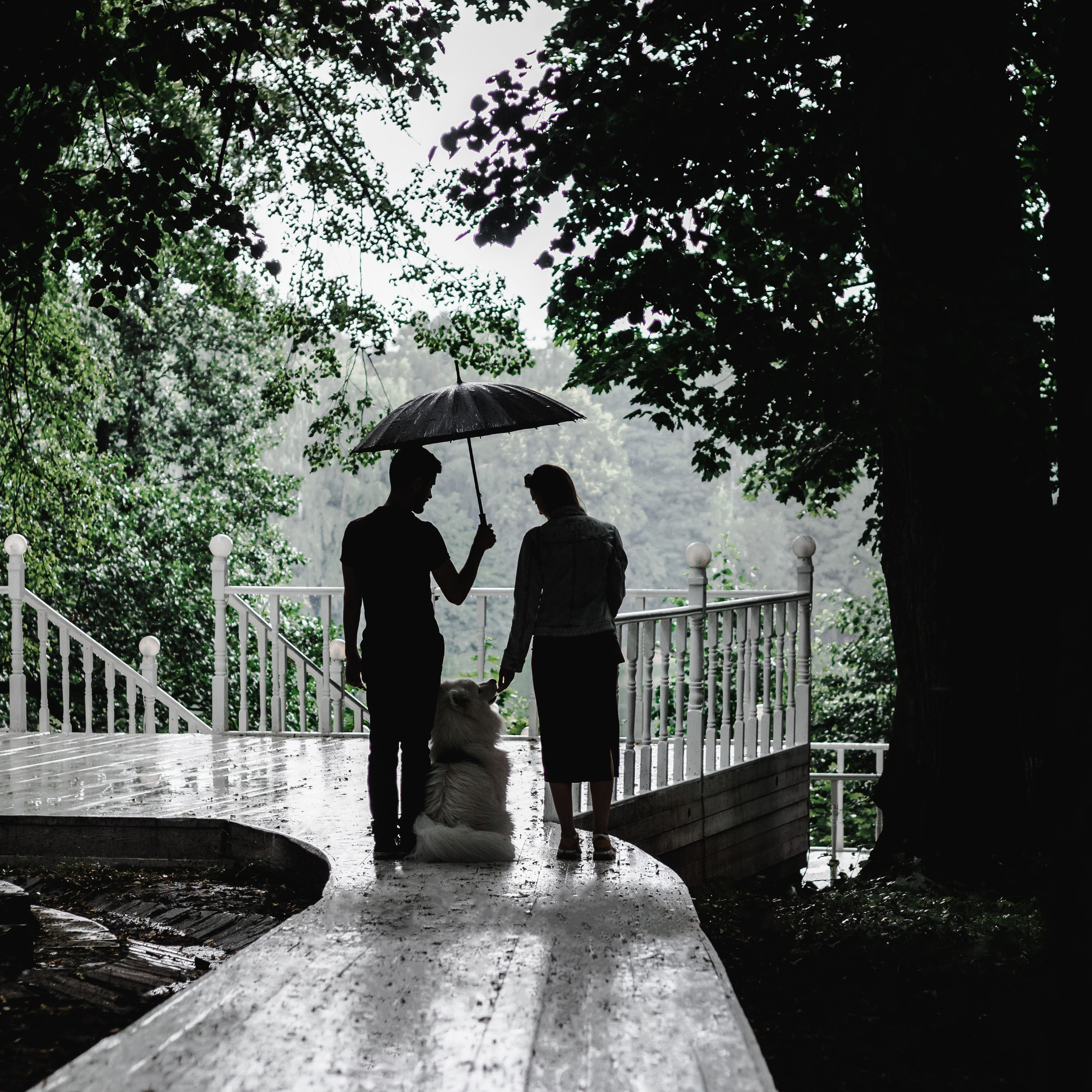 Отзывы о работе фотографа-анималиста или зоофотографа, Москва