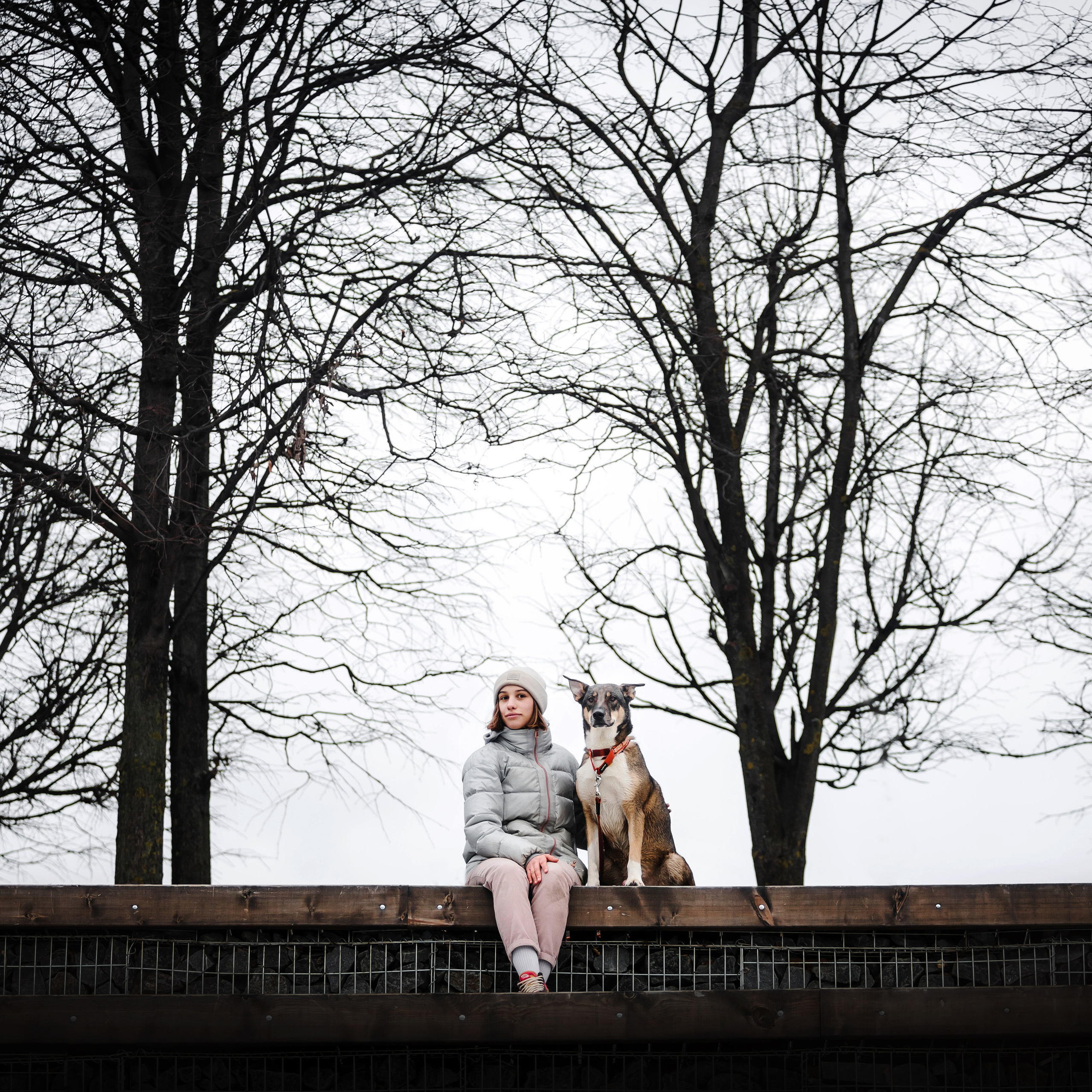 Отзывы о работе фотографа-анималиста или зоофотографа, Москва