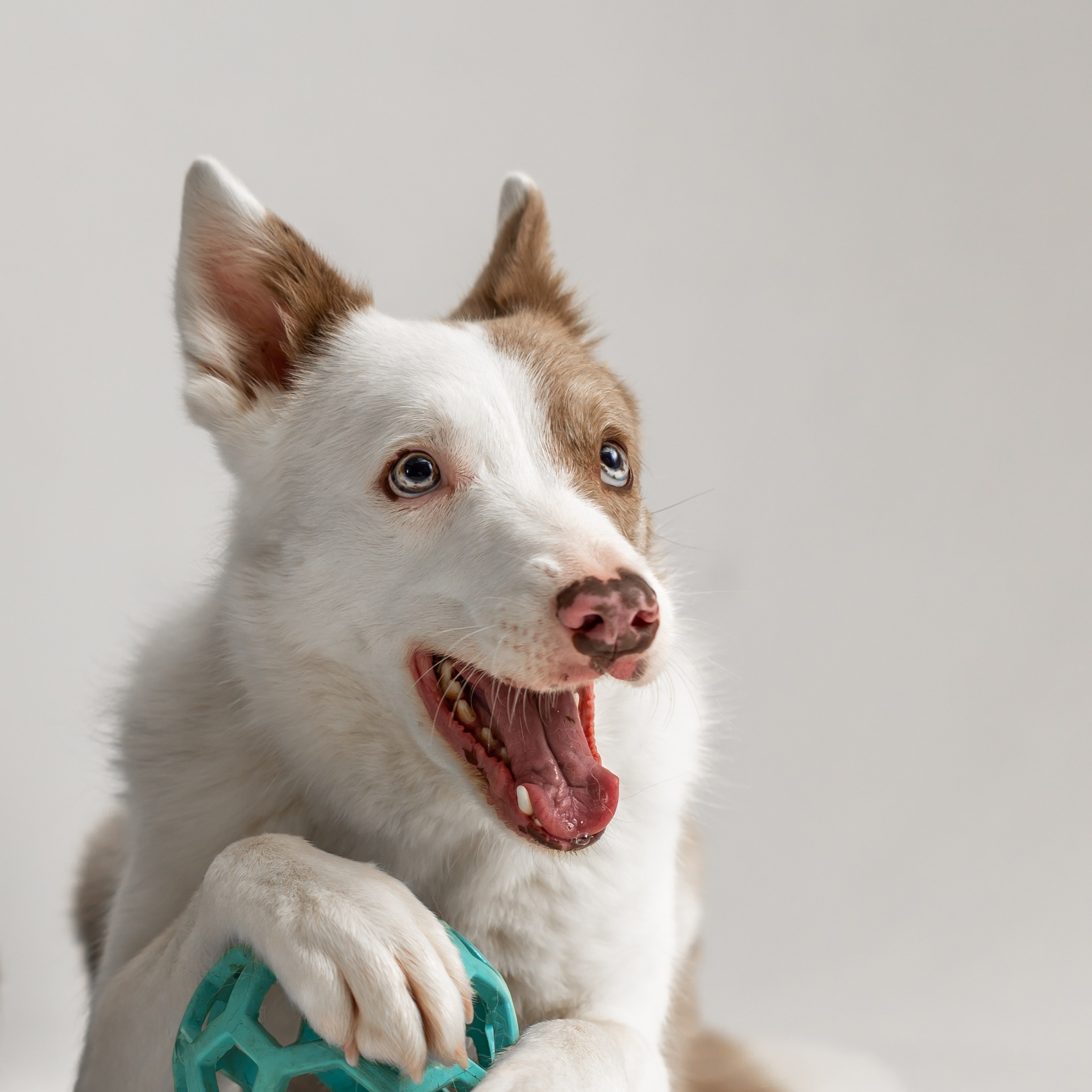 Воркшоп по импульсному свету