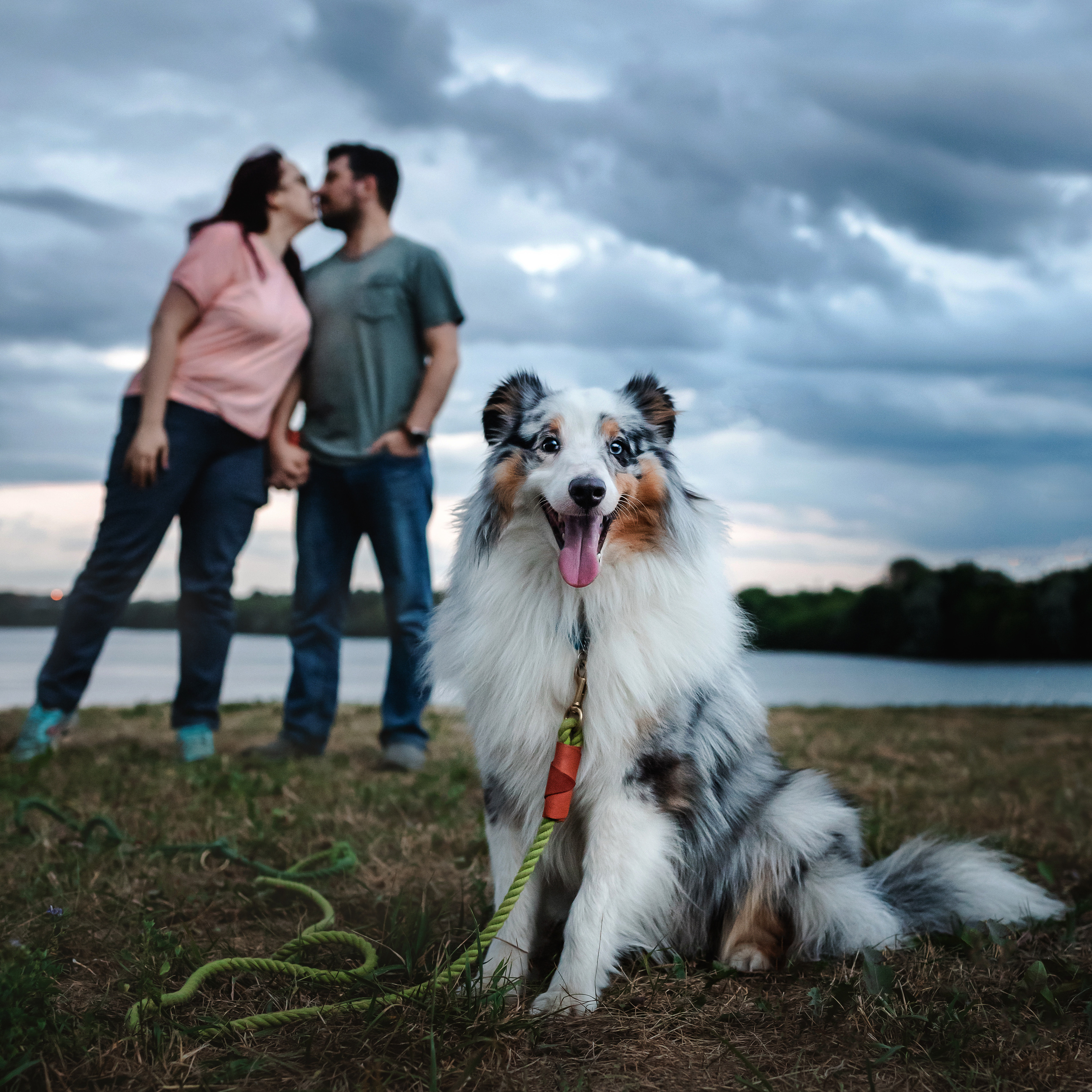 Отзывы о работе фотографа-анималиста или зоофотографа, Москва