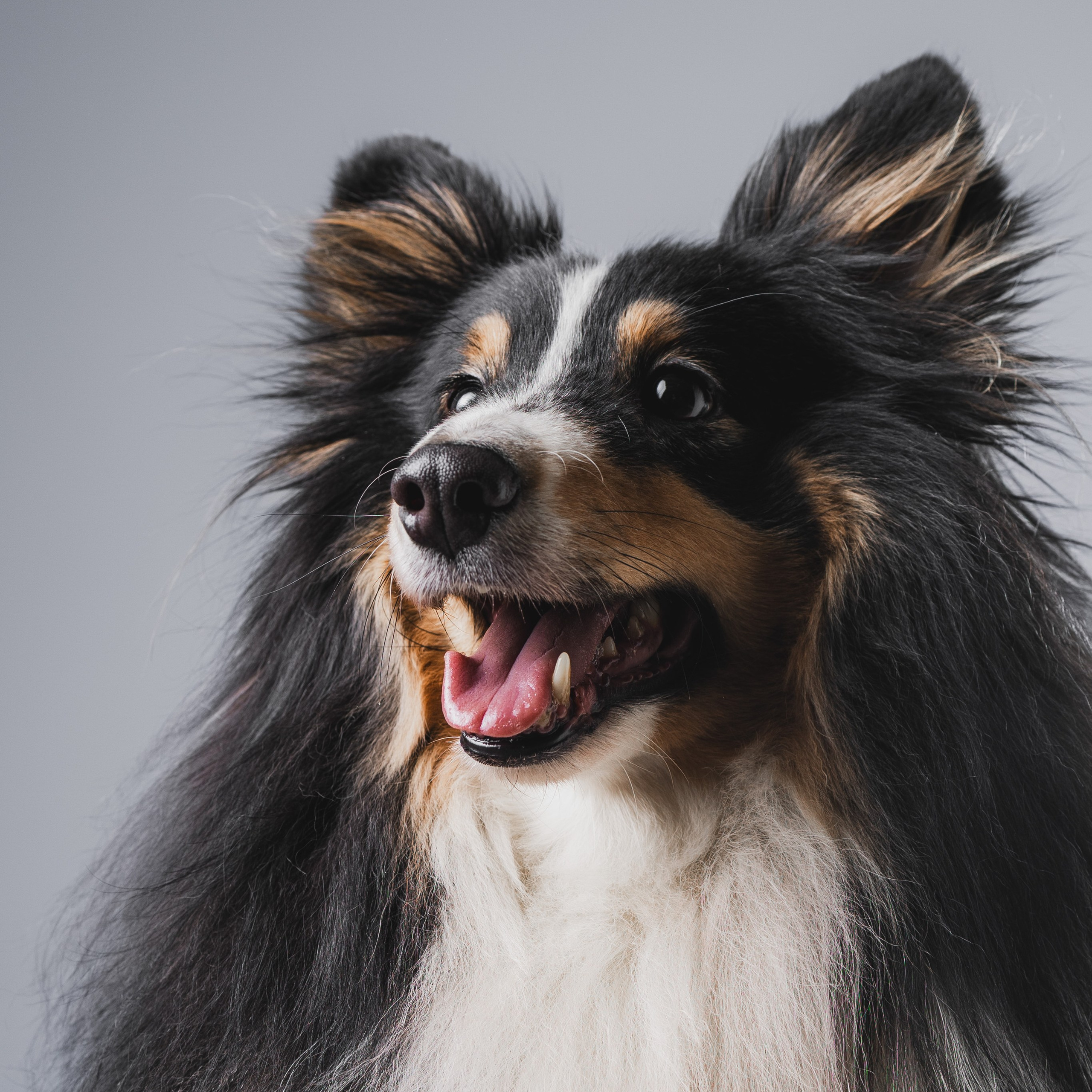 Воркшоп по импульсному свету