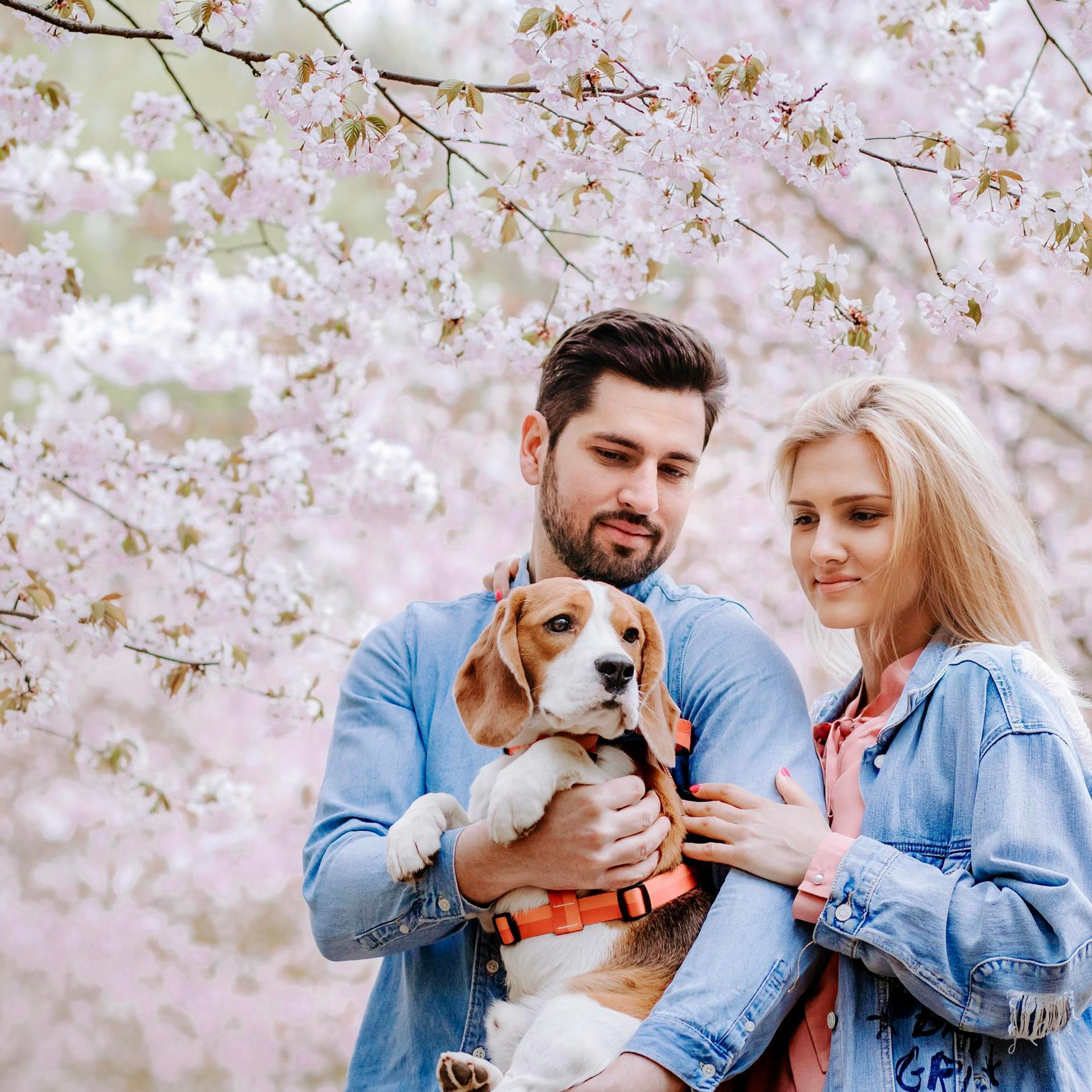 Отзывы о работе фотографа-анималиста или зоофотографа, Москва