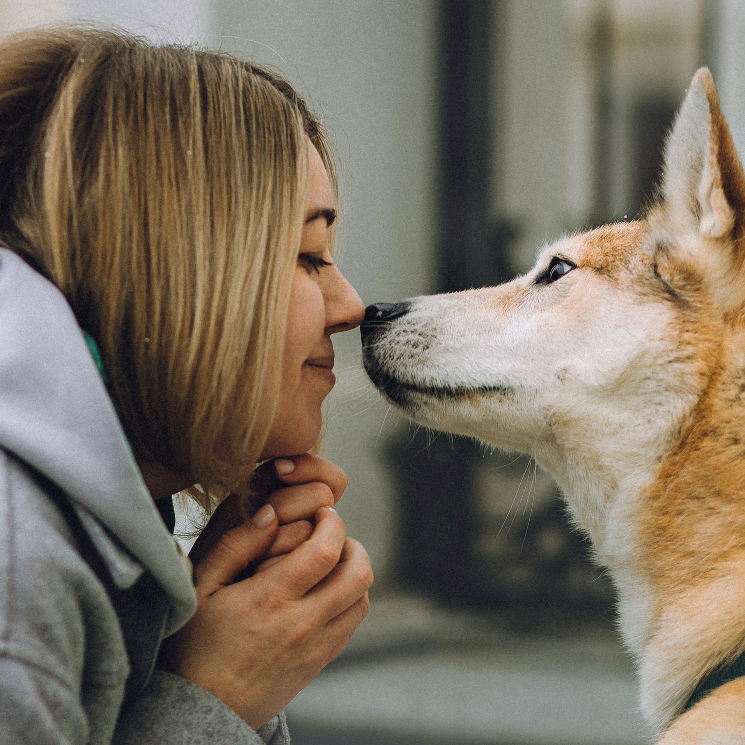 Отзывы о работе фотографа-анималиста или зоофотографа, Москва