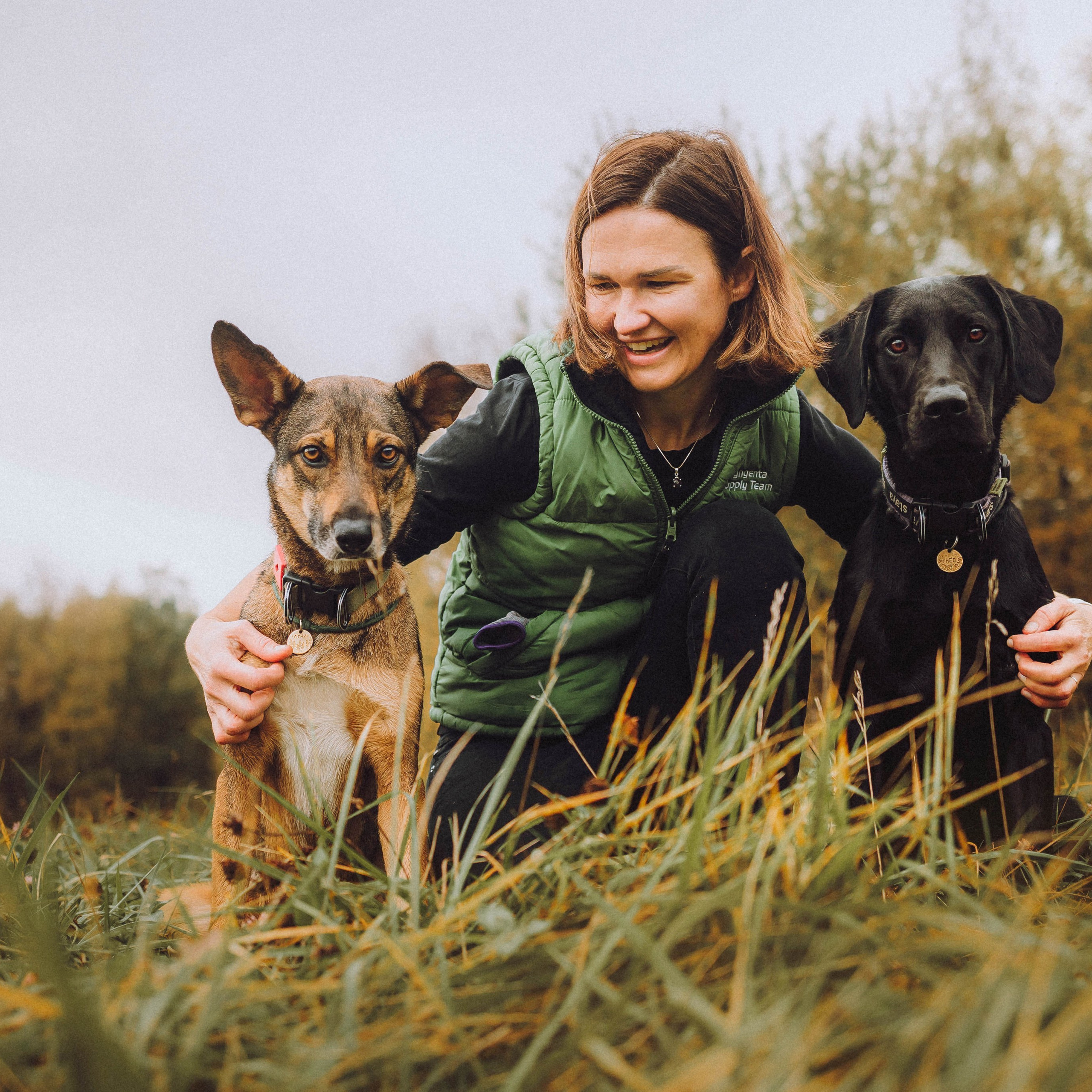 Отзывы о работе фотографа-анималиста или зоофотографа, Москва