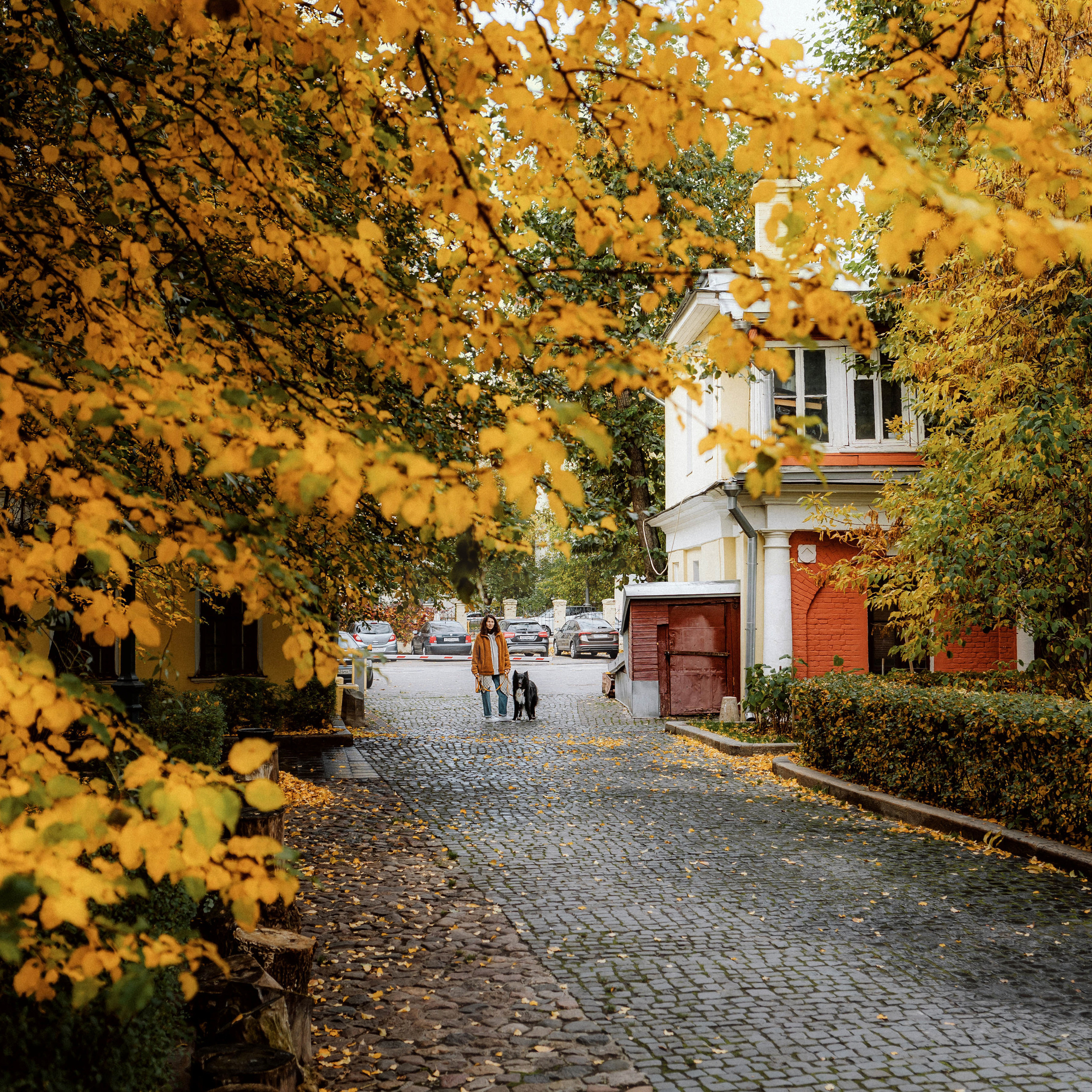 Отзывы о работе фотографа-анималиста или зоофотографа, Москва