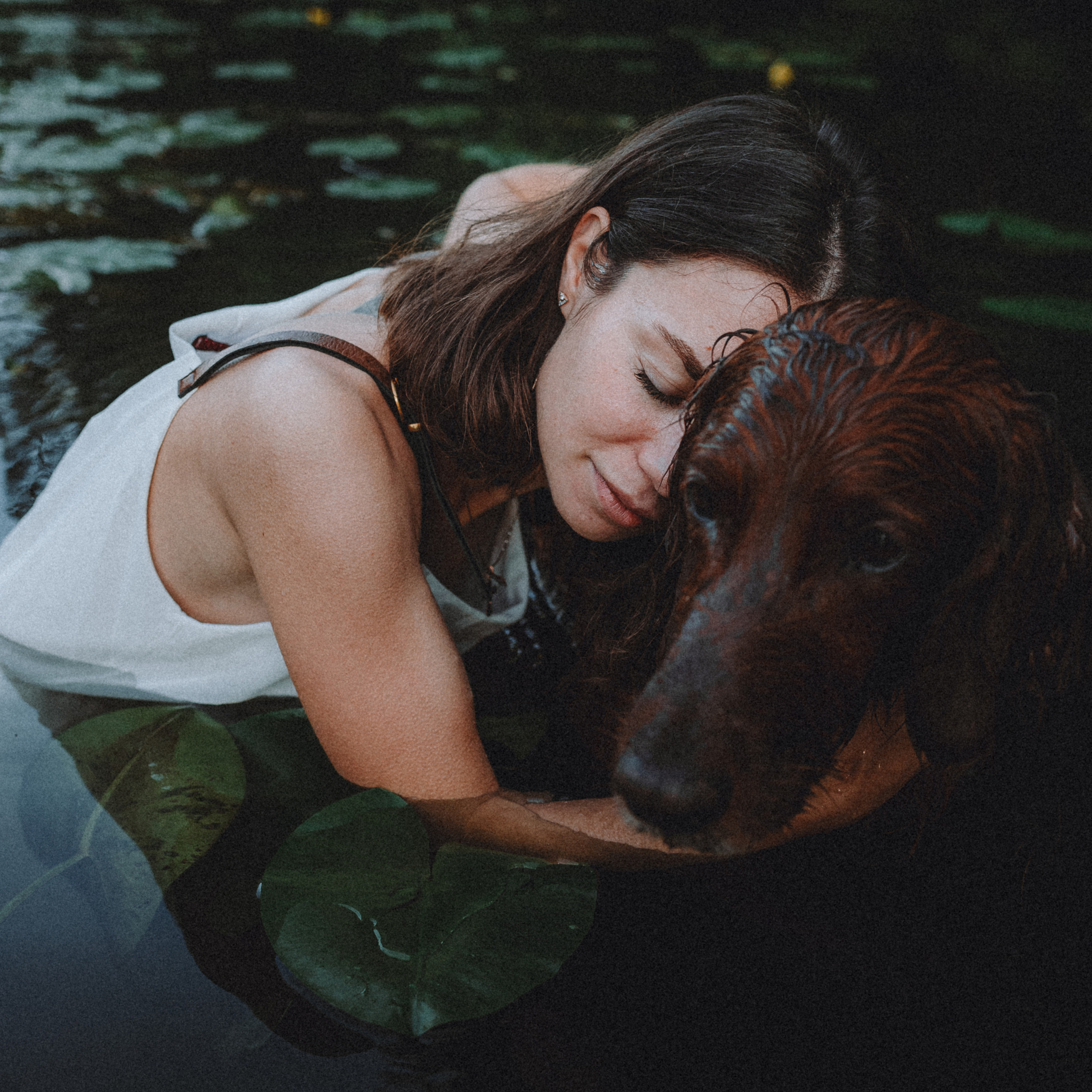 Отзывы о работе фотографа-анималиста или зоофотографа, Москва