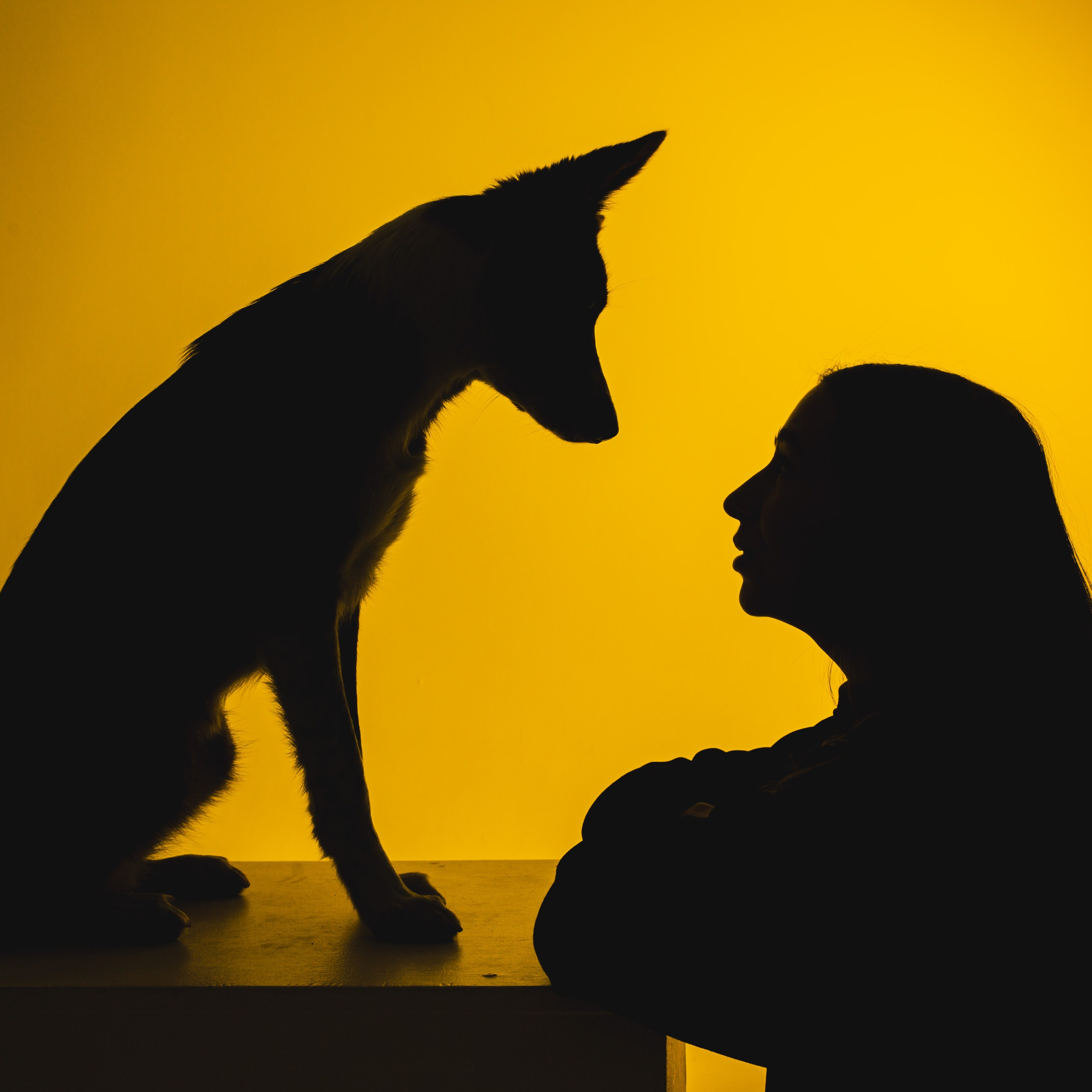 Воркшоп по импульсному свету