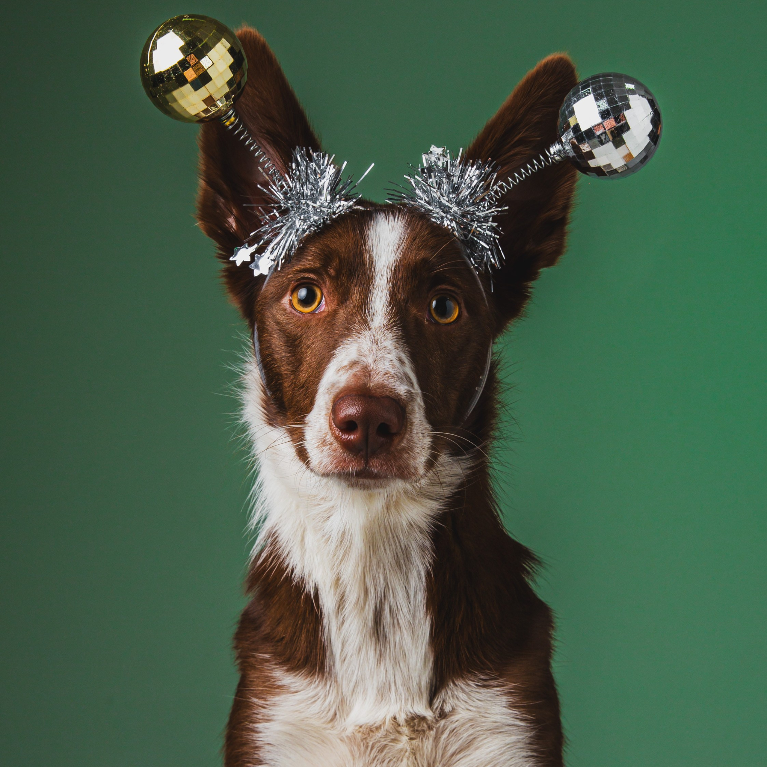 Воркшоп по импульсному свету