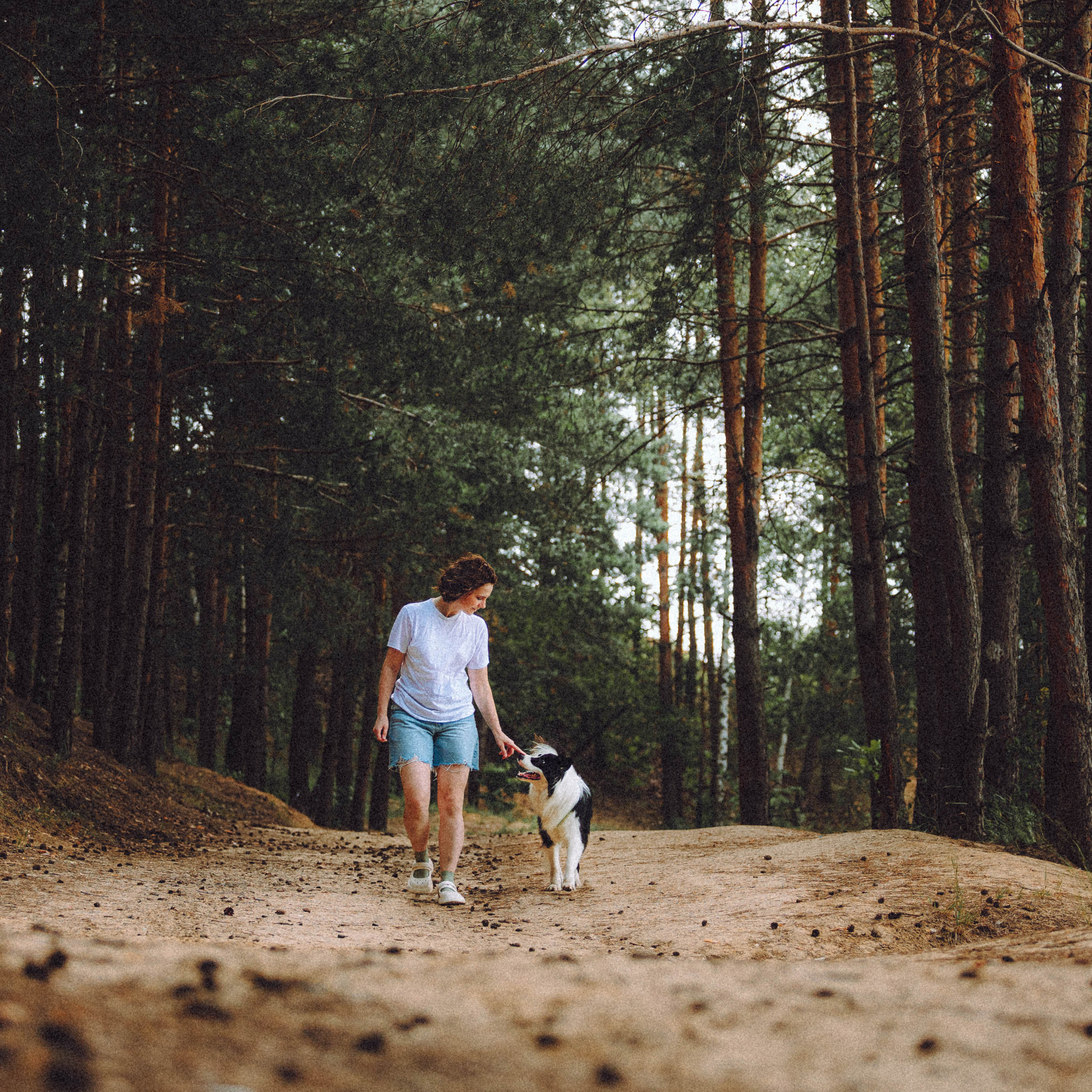 Отзывы о работе фотографа-анималиста или зоофотографа, Москва