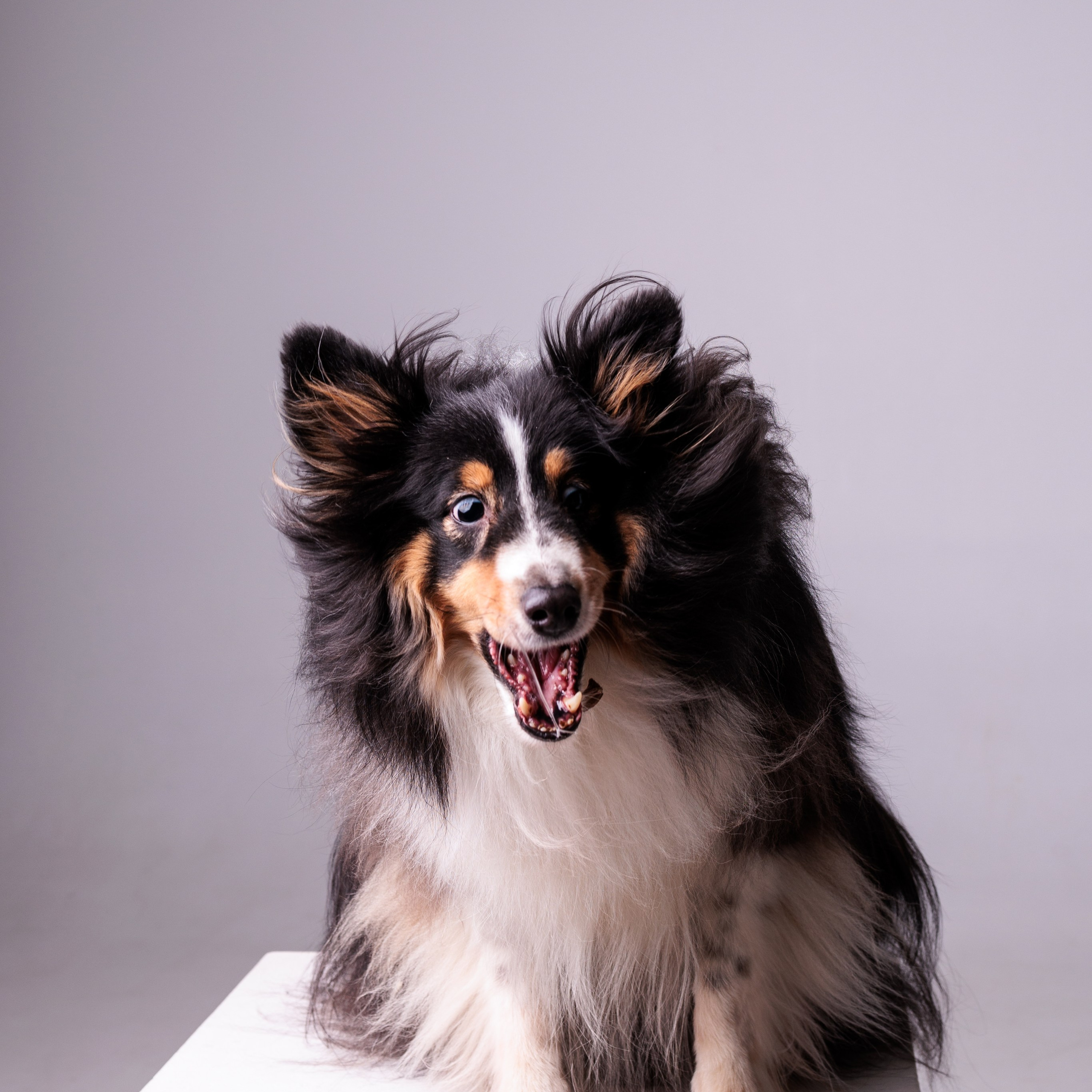 Воркшоп по импульсному свету