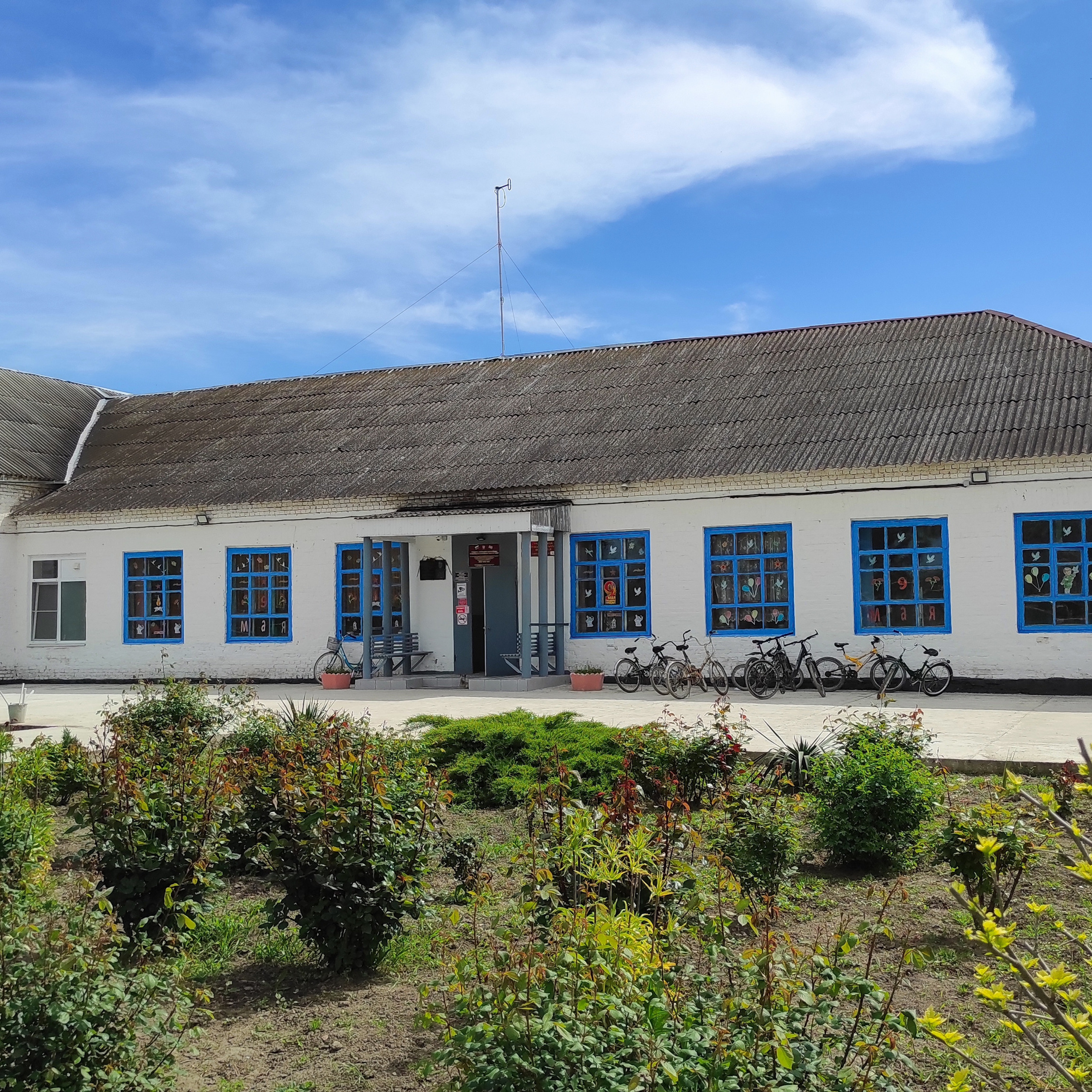 Отзывы о студии Аллигатор