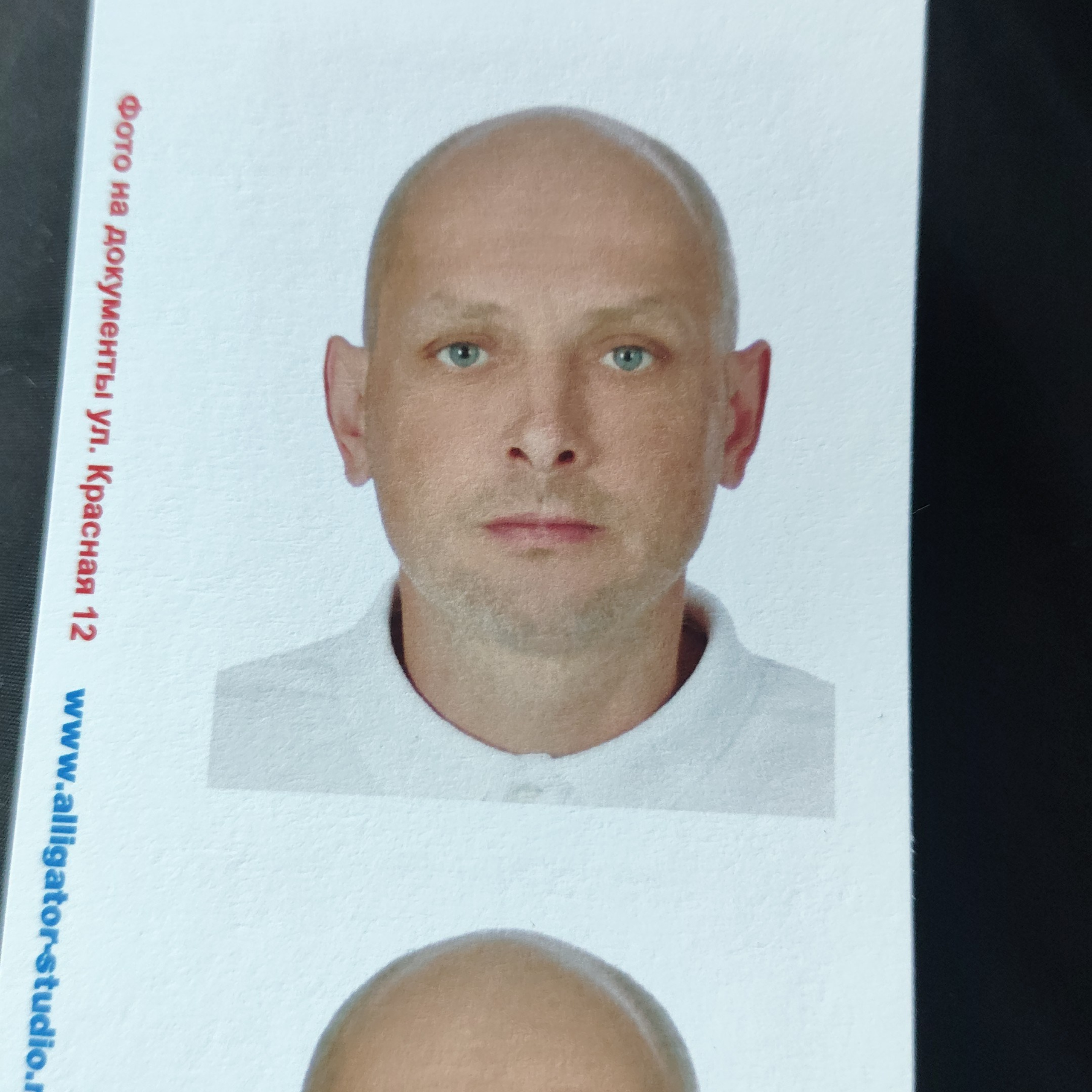 Отзывы о студии Аллигатор