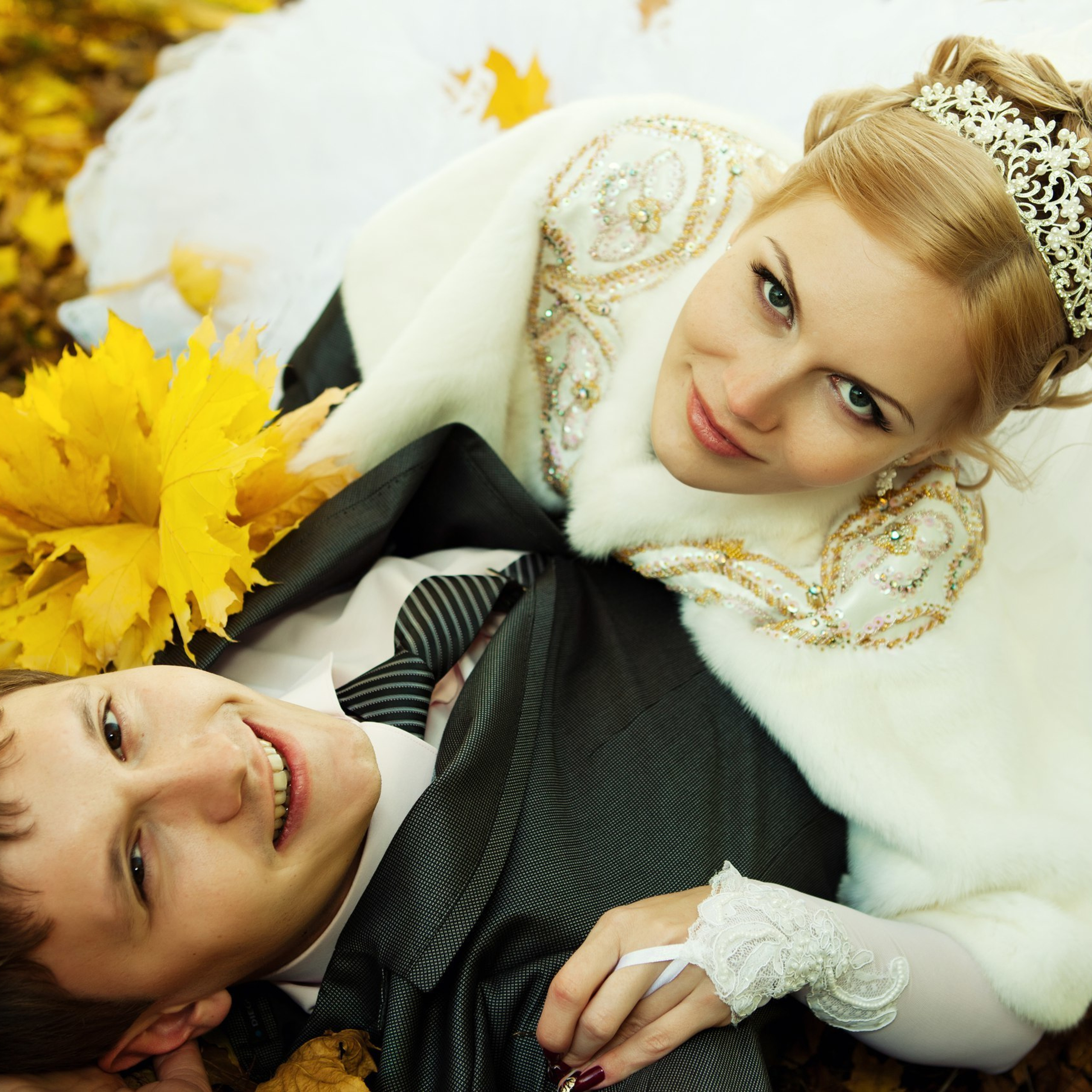 Отзывы о студии Аллигатор