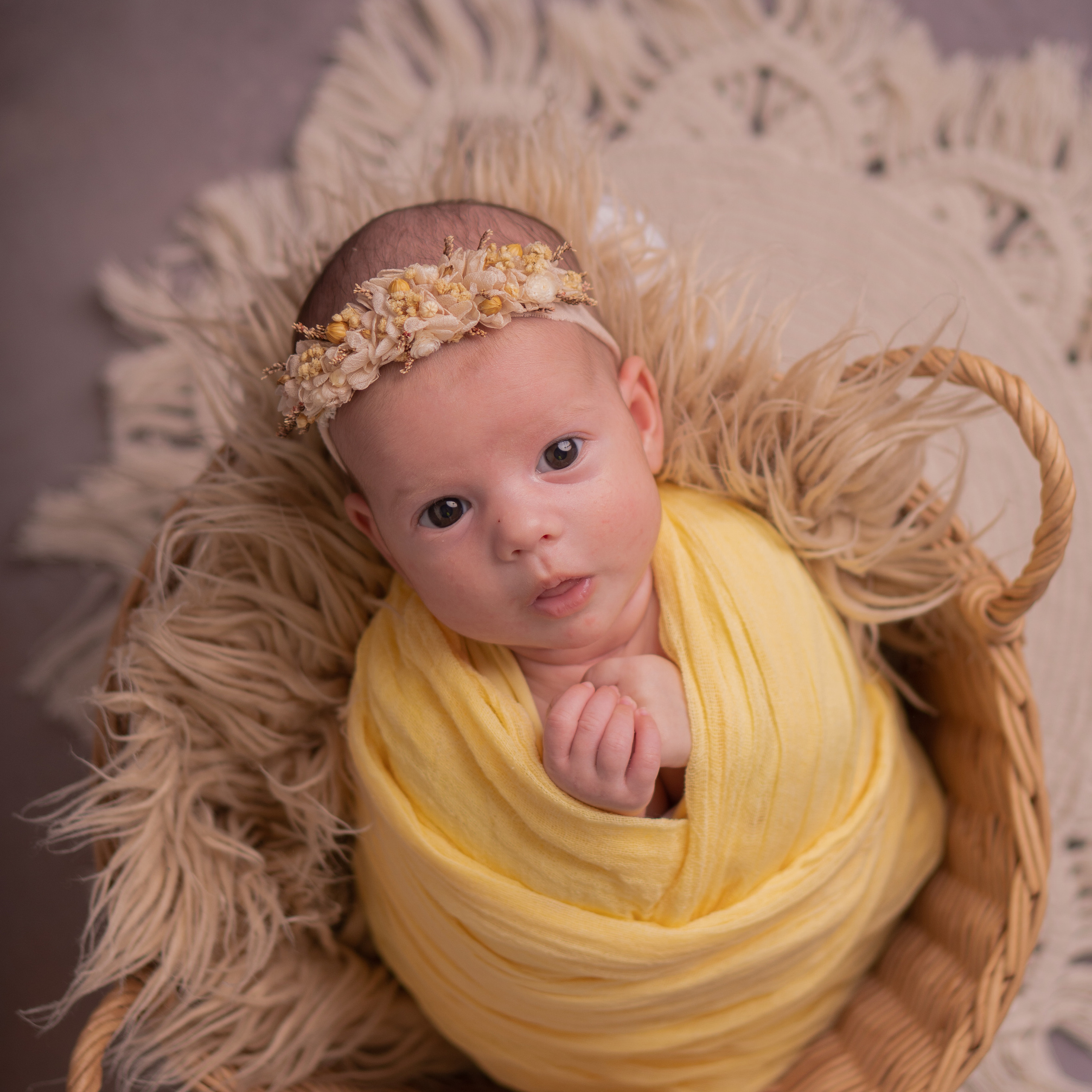 Фотограф новорожденных, беременности и семейных фотосессий в Томске